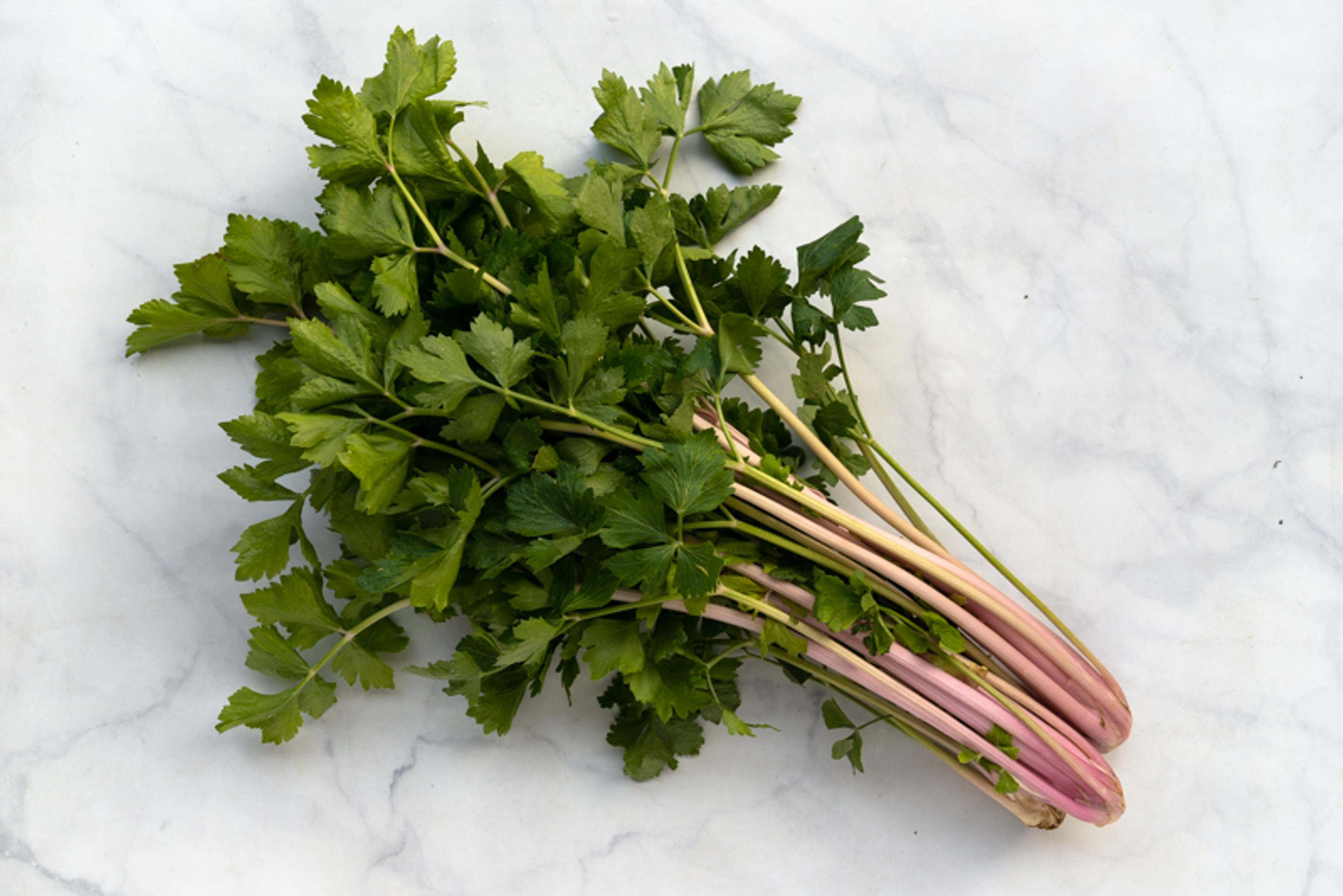 Image from Farm to People