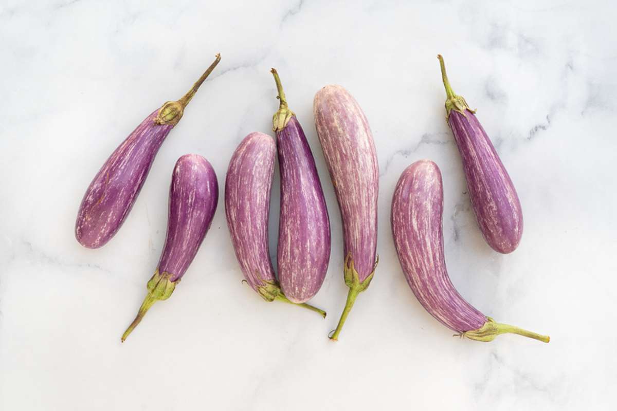 Buy Fairy Tale Eggplant For Delivery Near You Farm To People