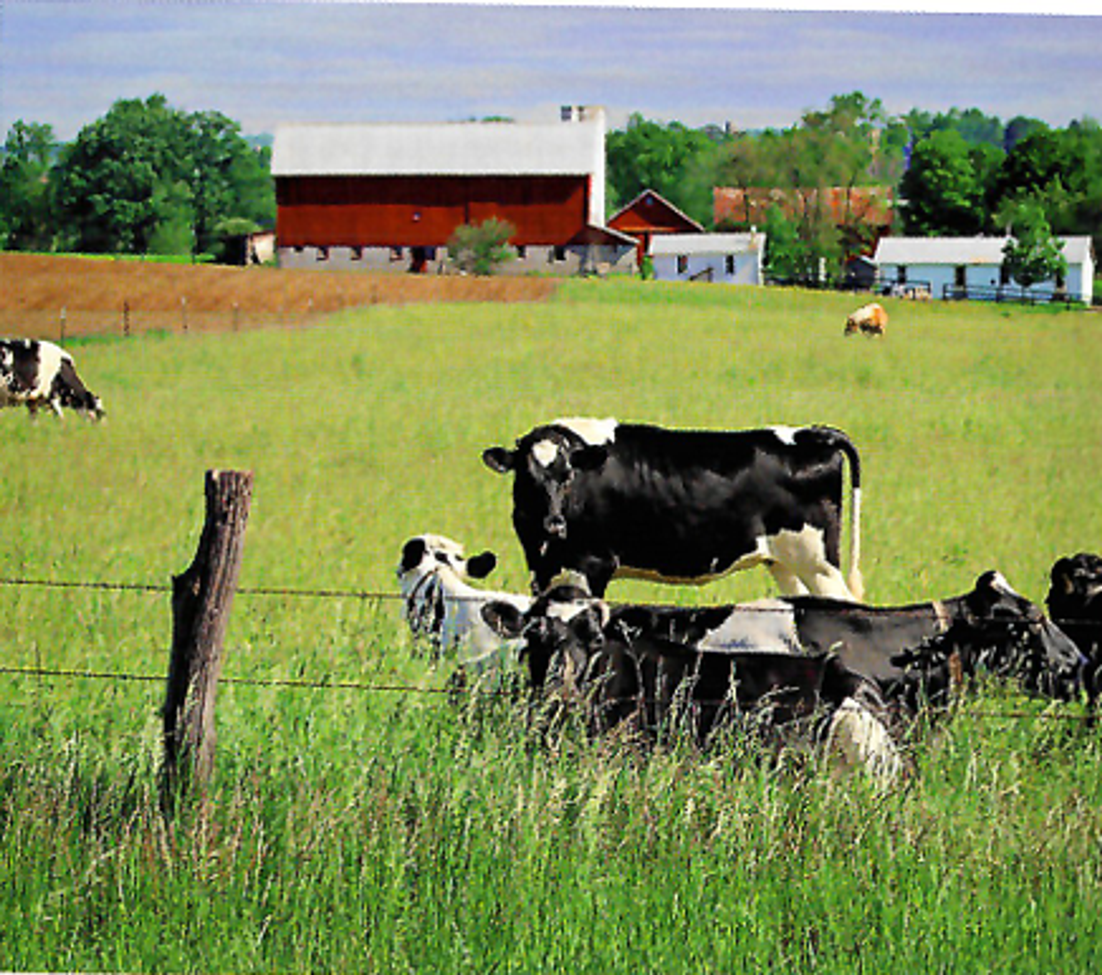 Image from Farm to People