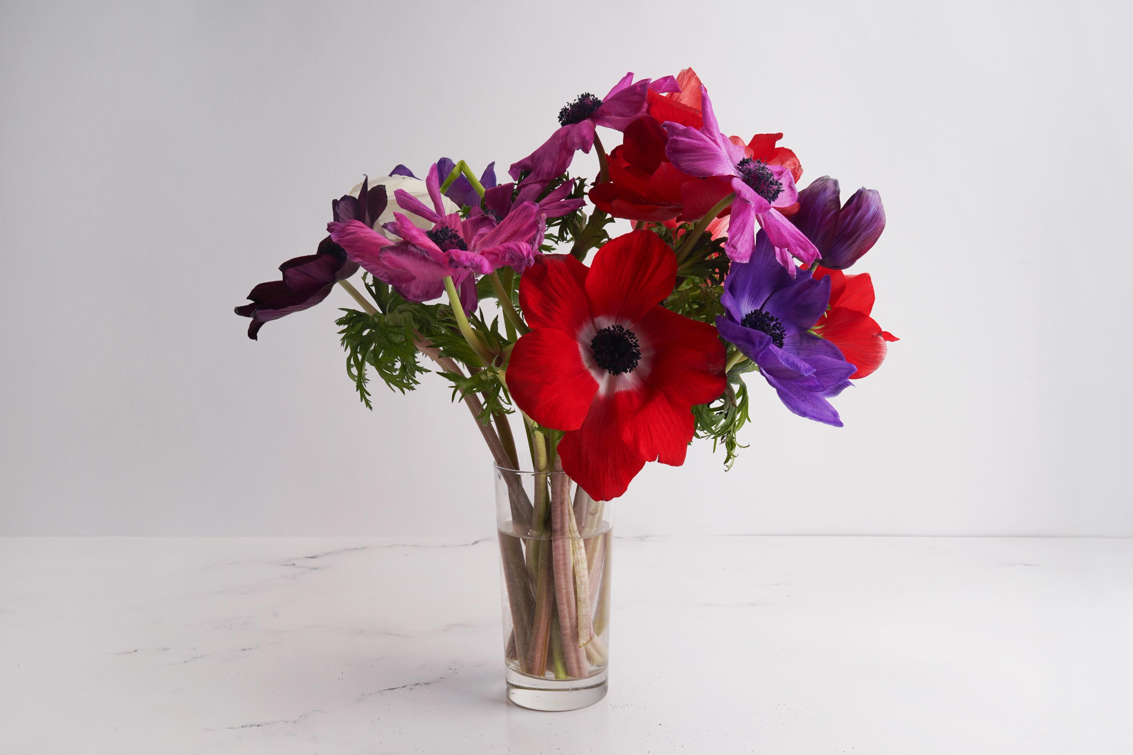 Image from Farm to People