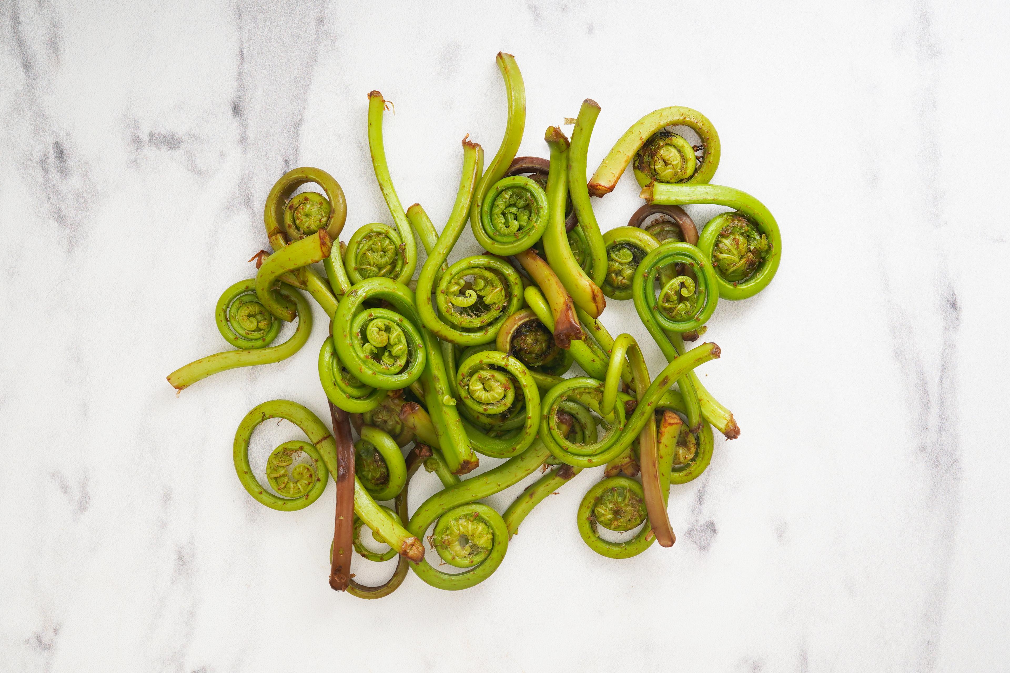 Image from Farm to People