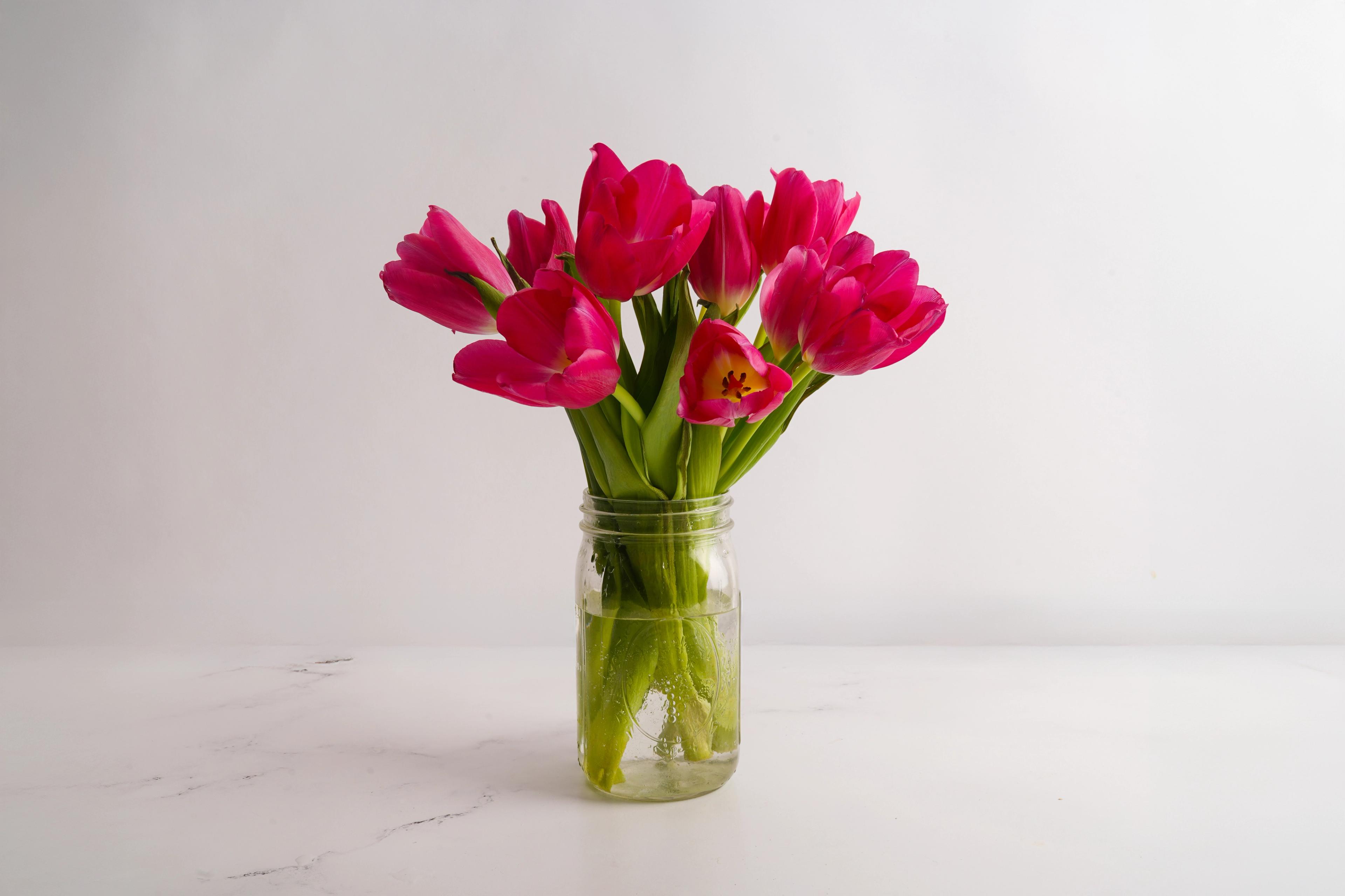 Image from Farm to People