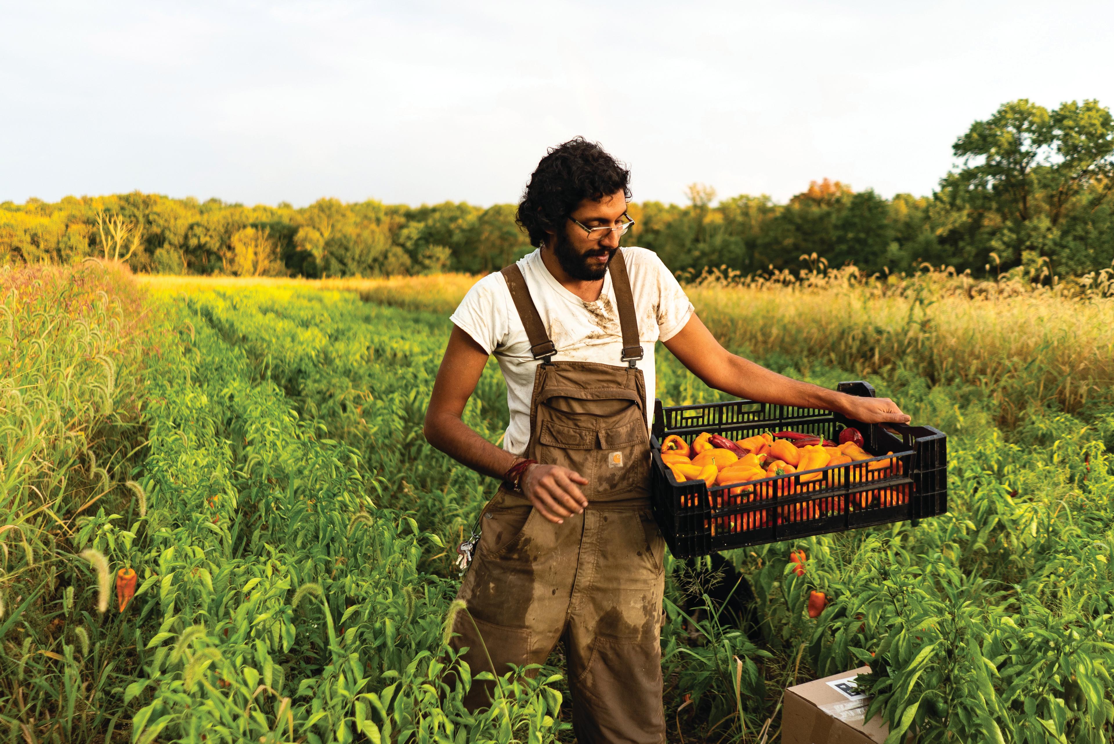 A man in a field.