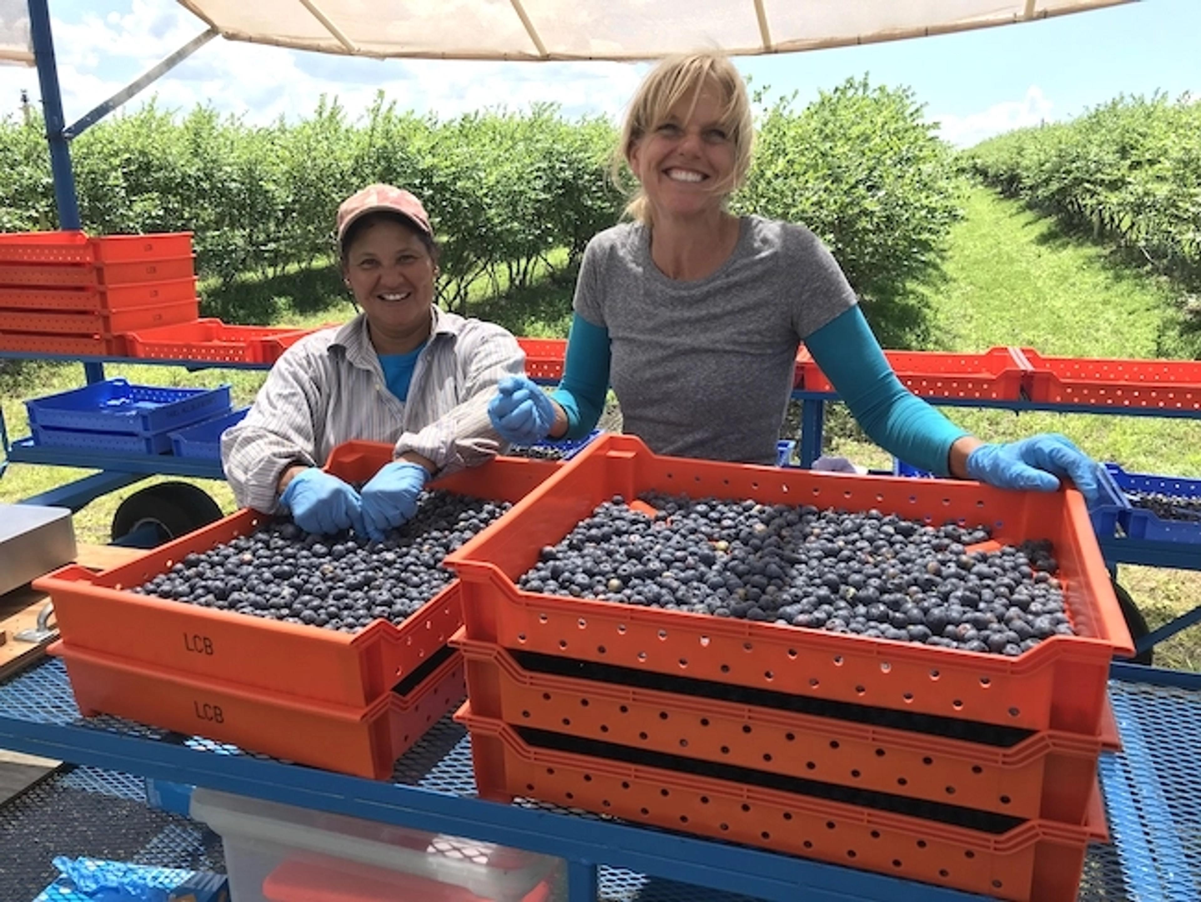 Image from Farm to People