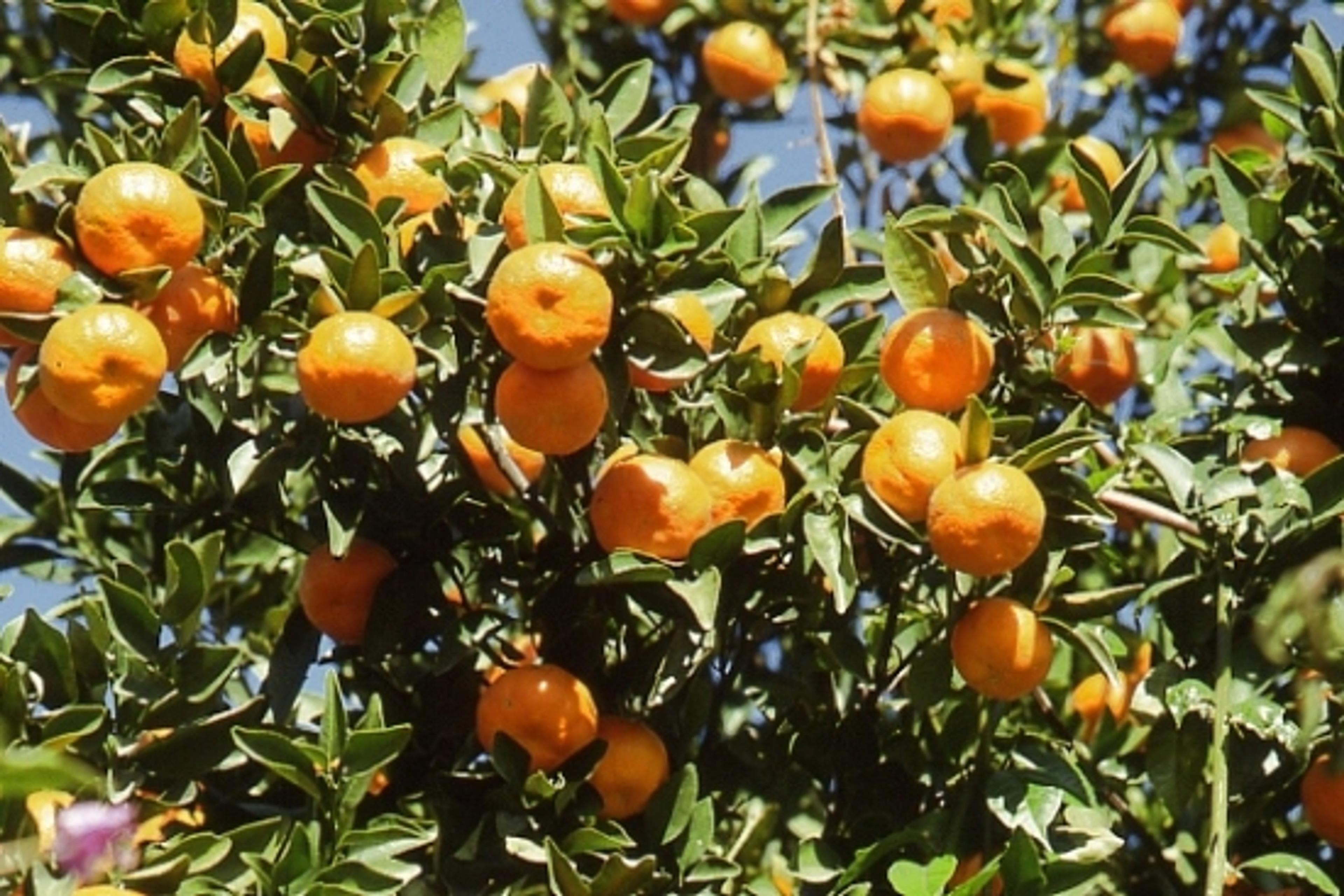 Image from Farm to People