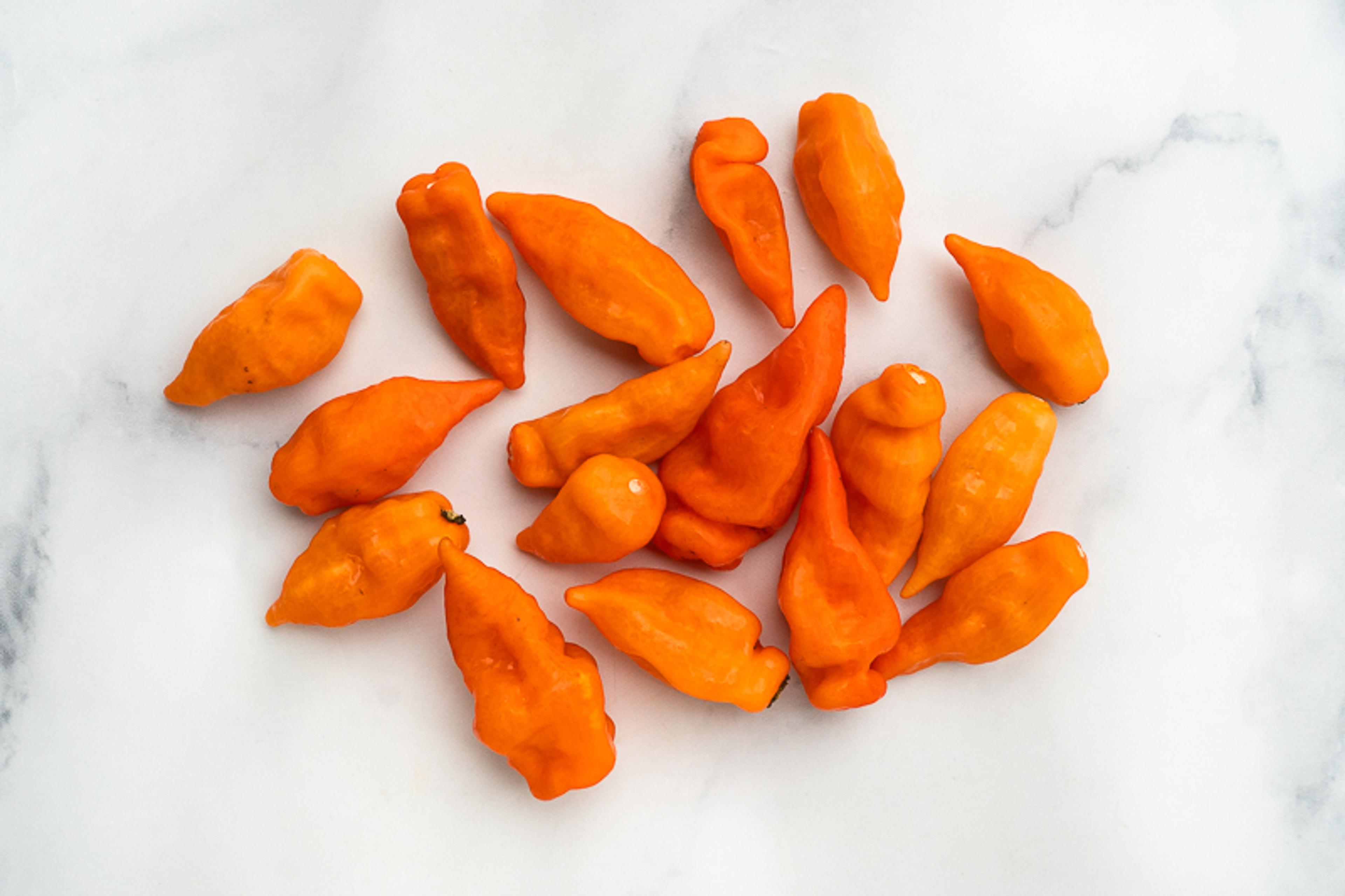 Image from Farm to People