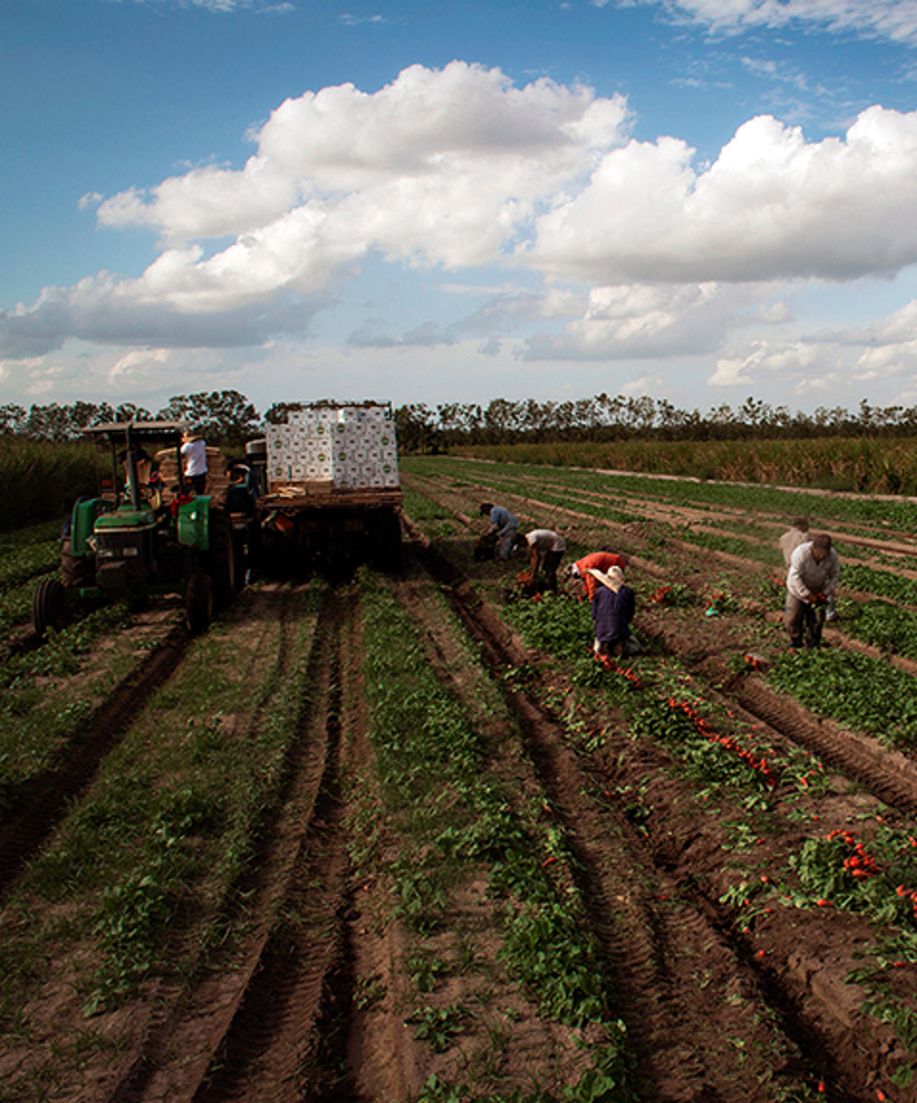 Image from Farm to People