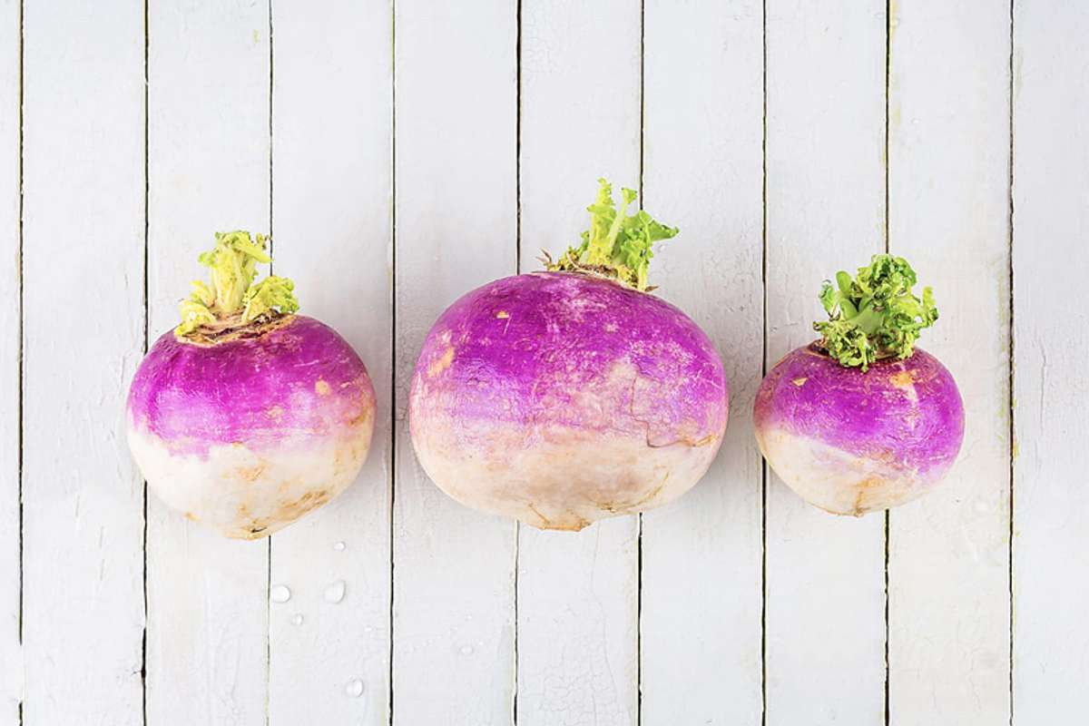 Buy Purple Top Turnips For Delivery Near You Farm To People