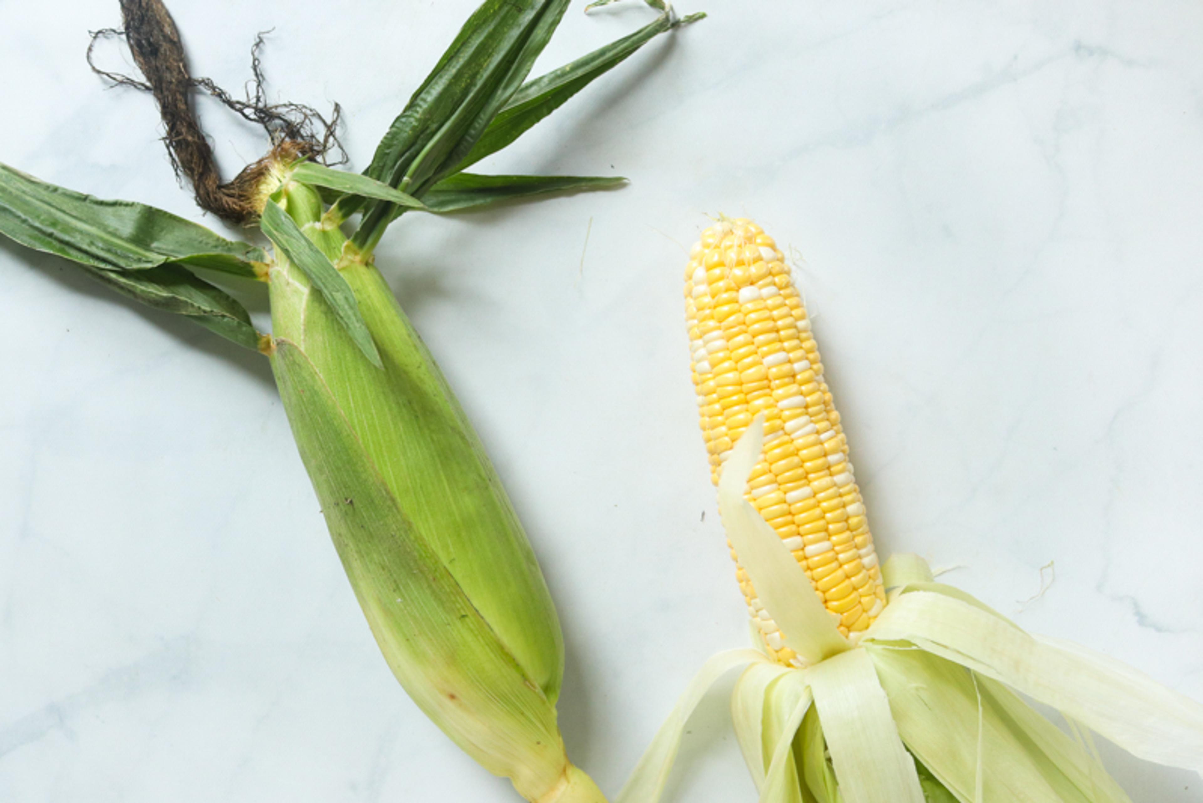 Image from Farm to People