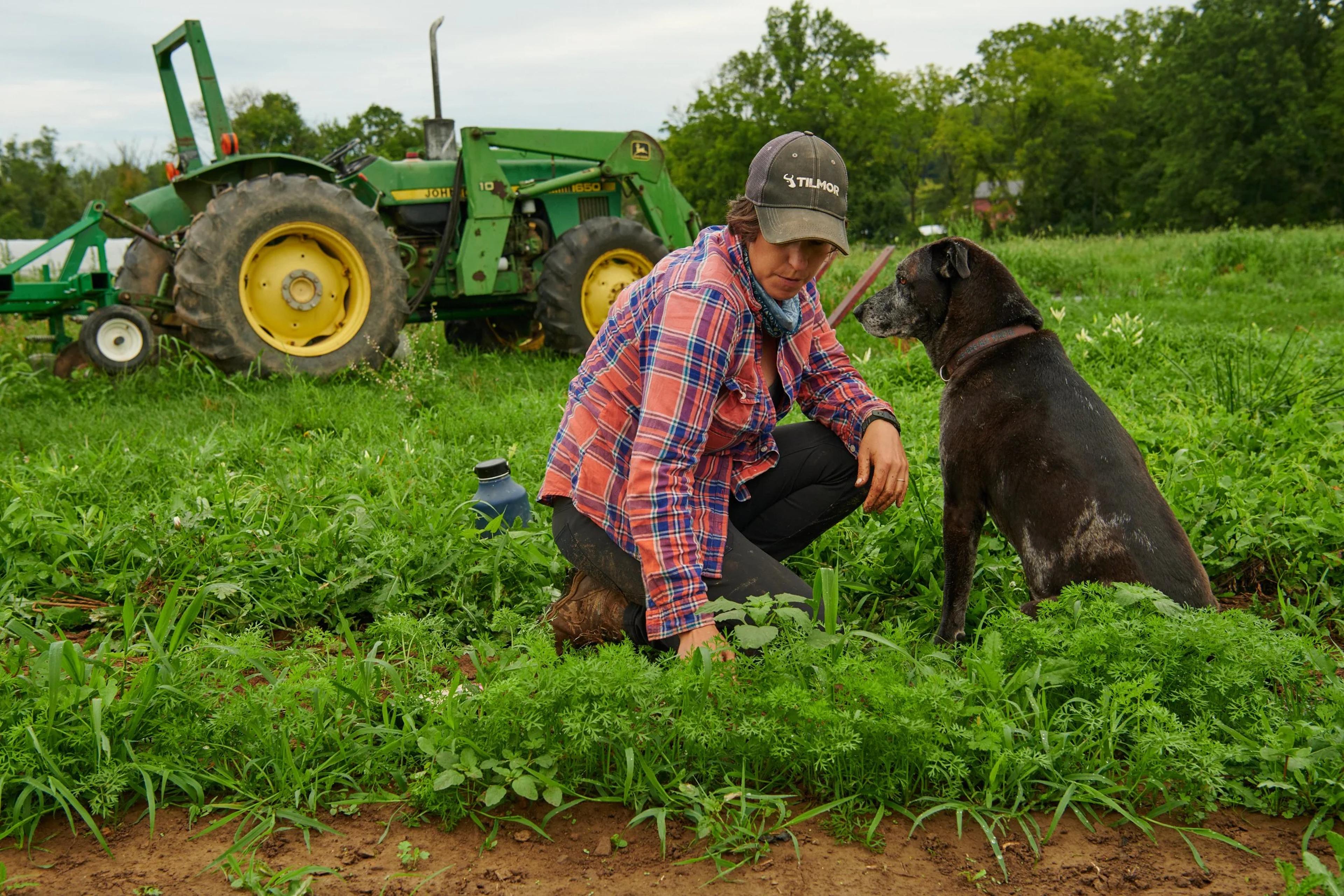 Image from Farm to People