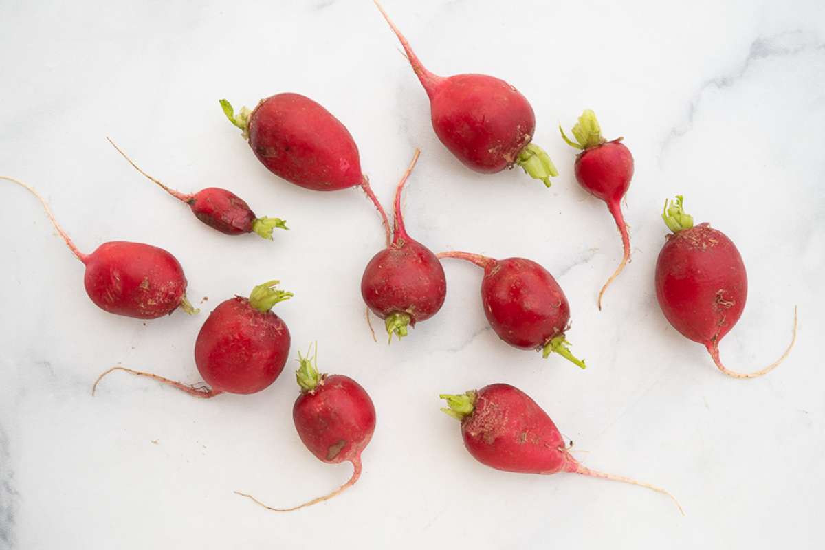 Buy Loose Cherry Belle Radishes For Delivery Near You Farm To People