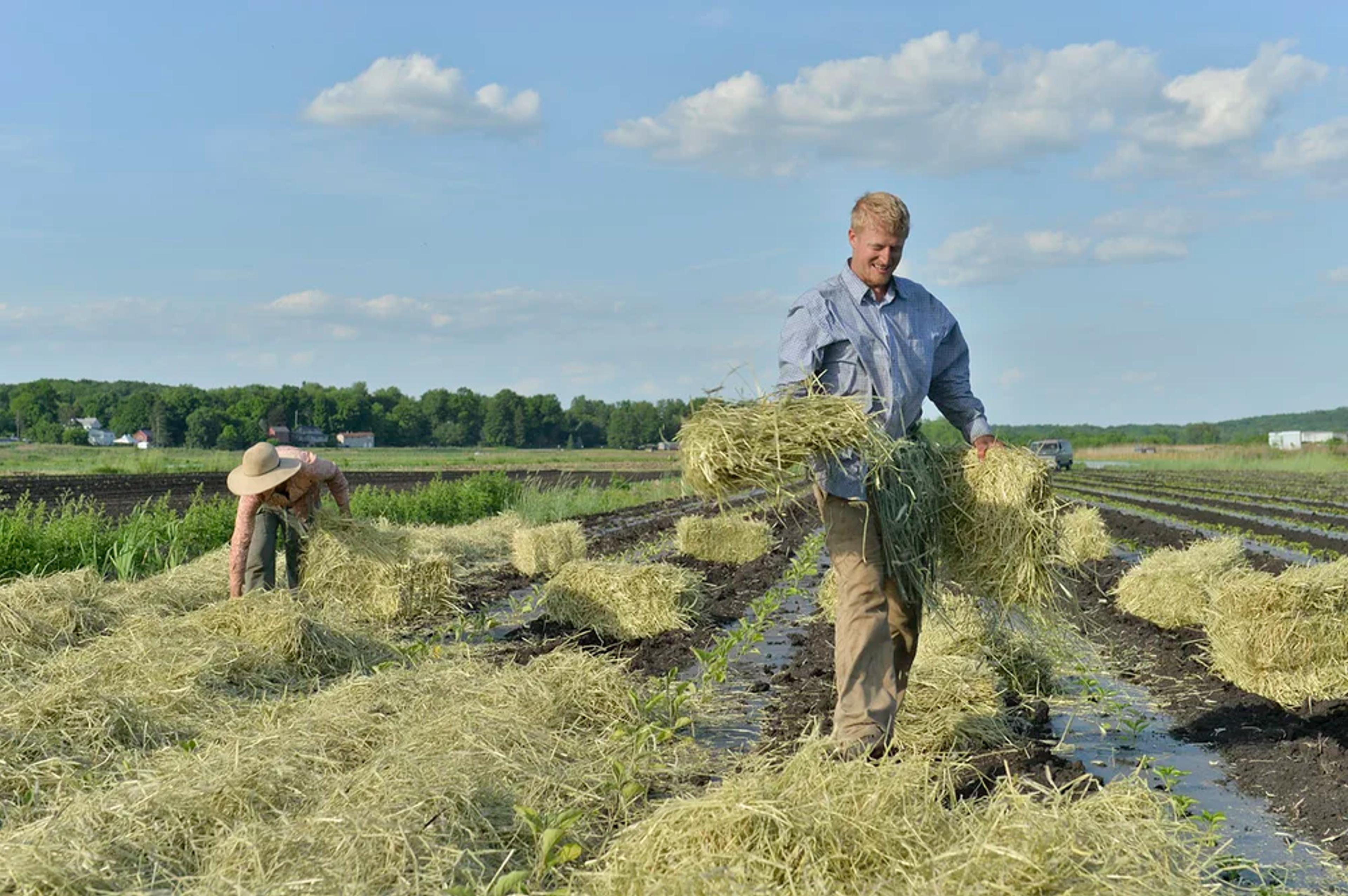 Image from Farm to People