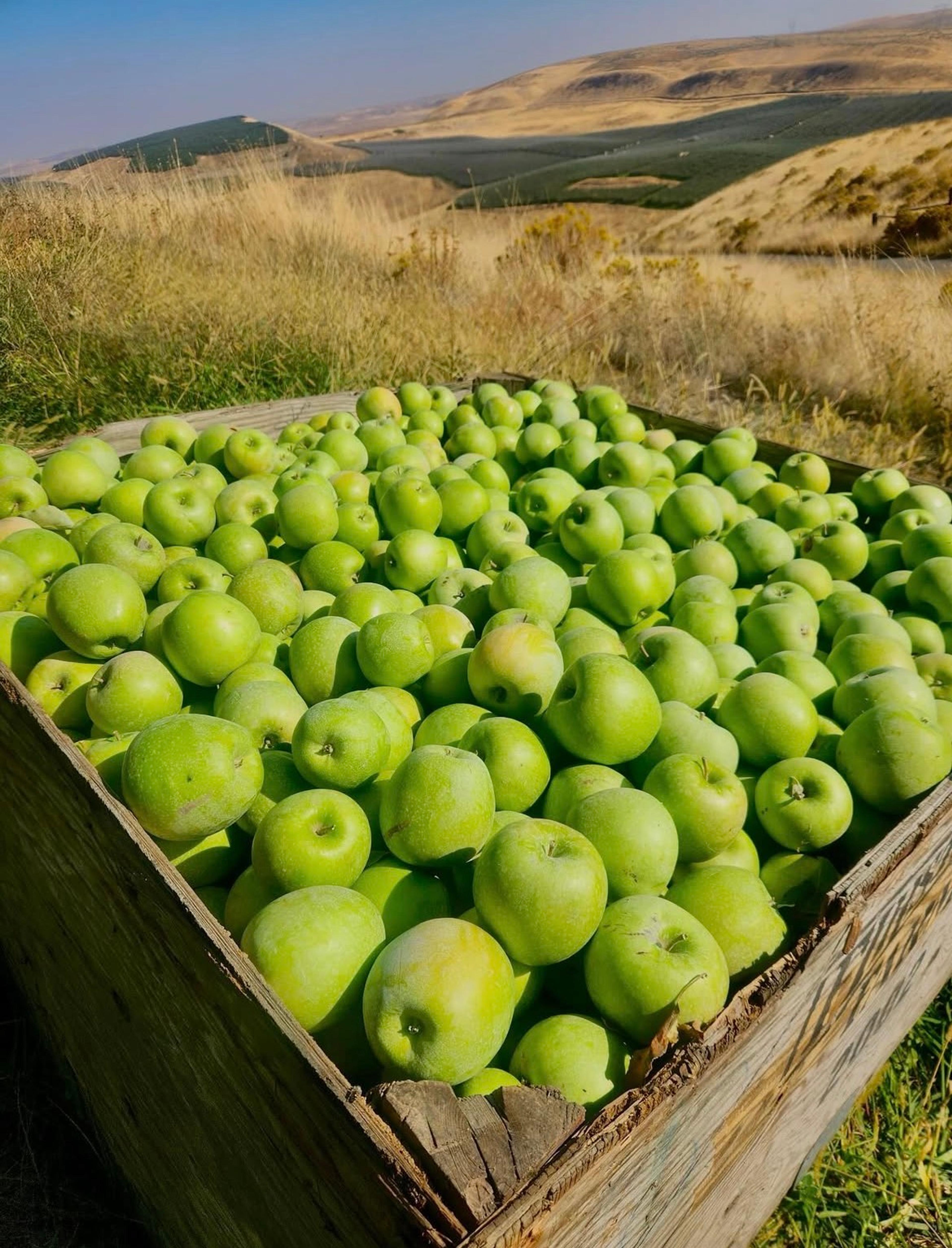 Image from Farm to People