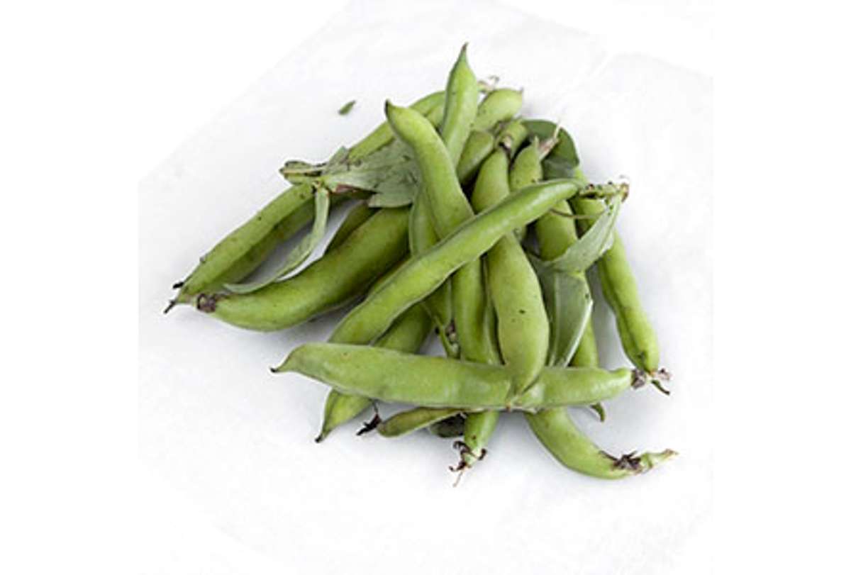 Buy Fava Beans For Delivery Near You Farm To People