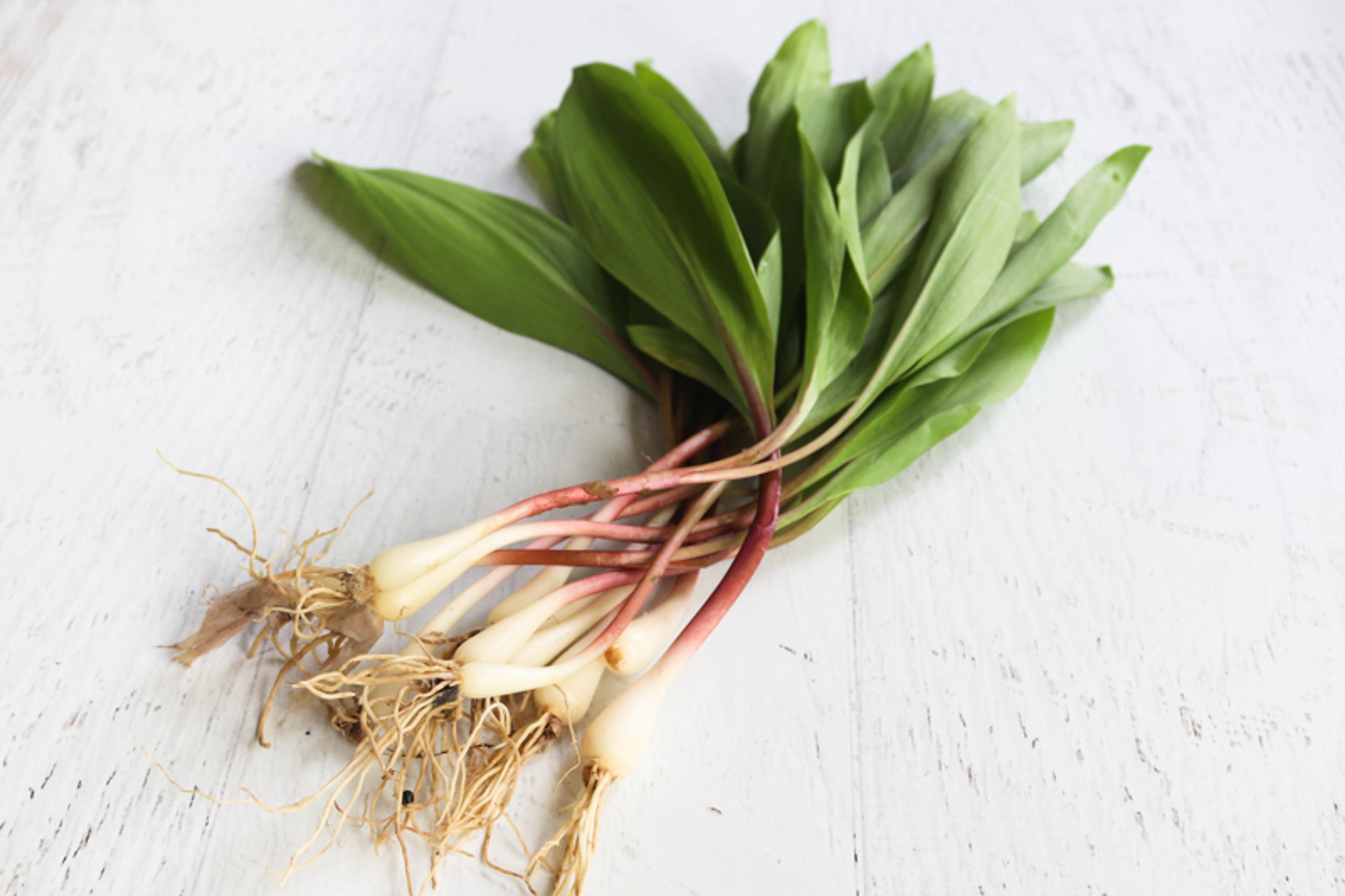 Image from Farm to People