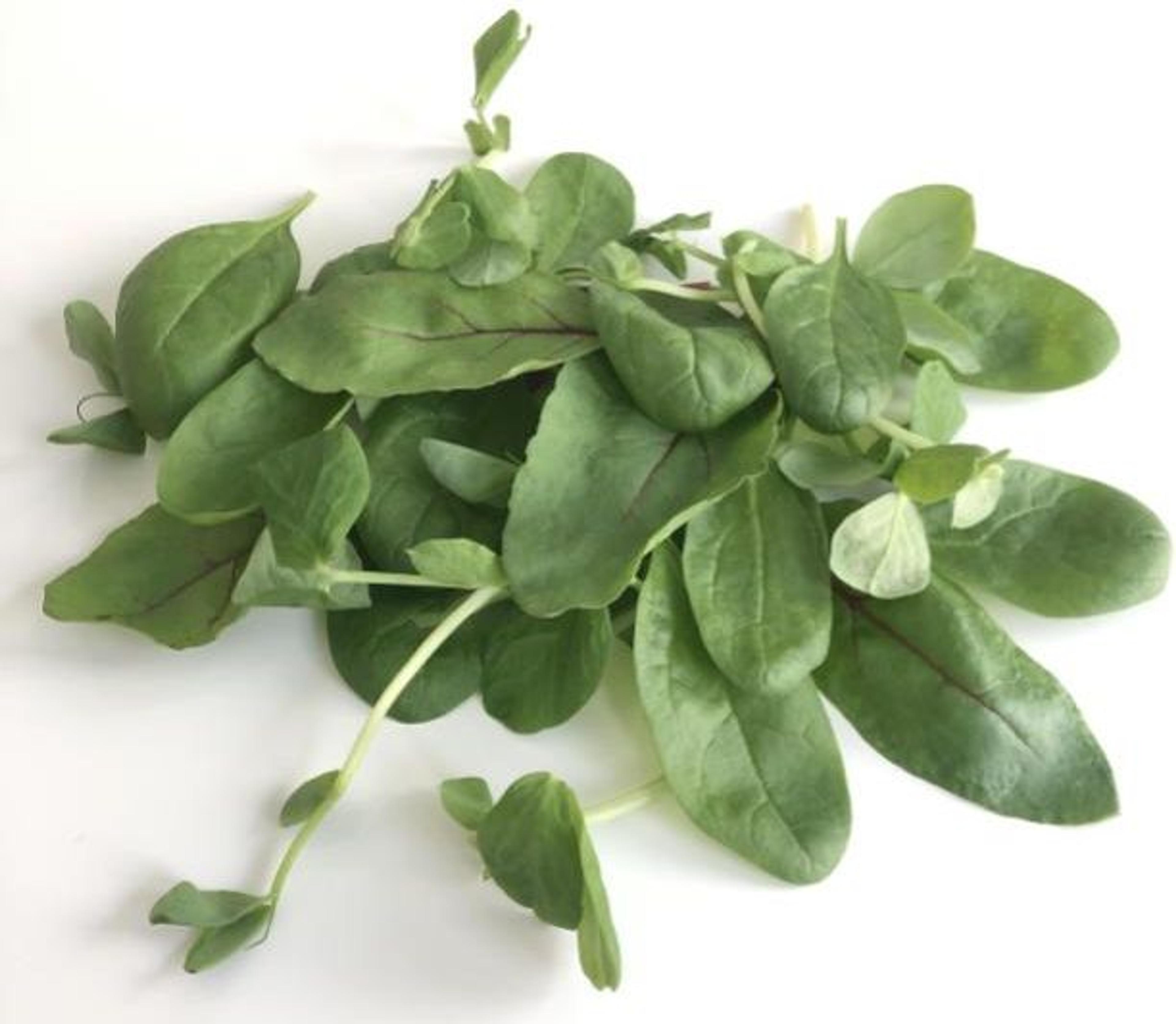 Image from Farm to People