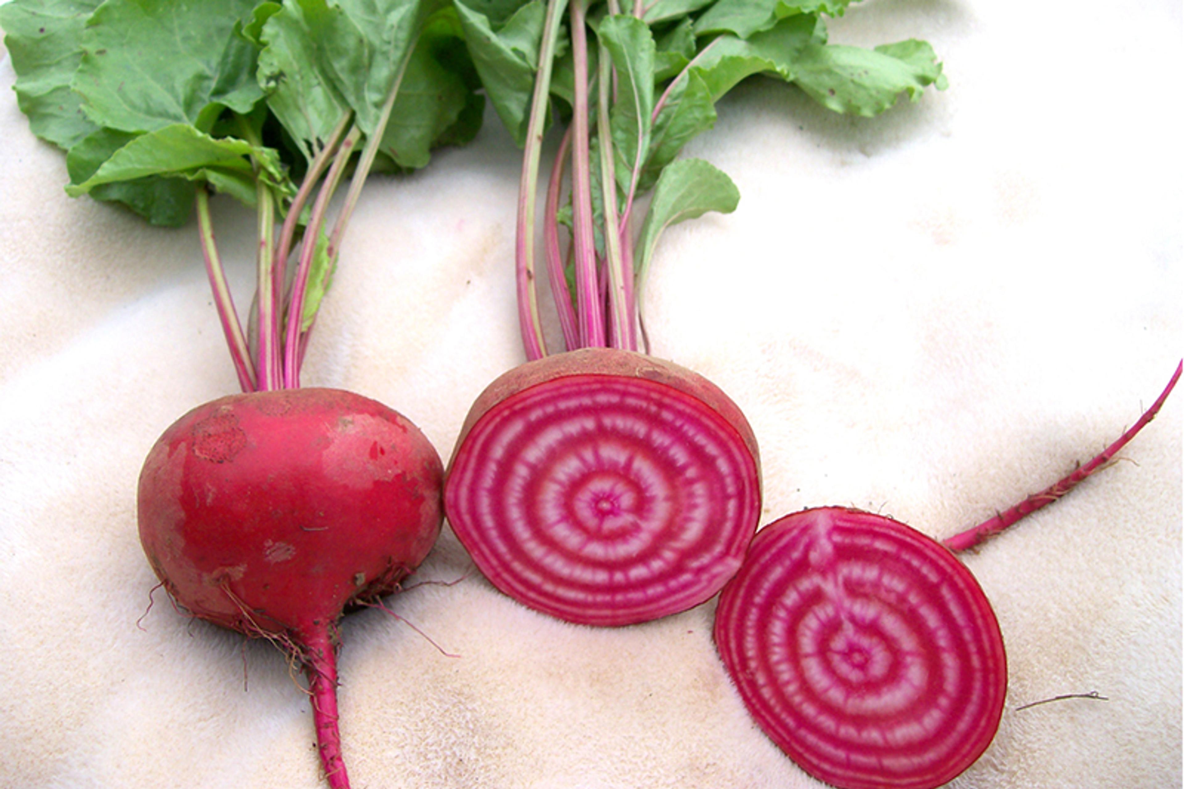 Image from Farm to People