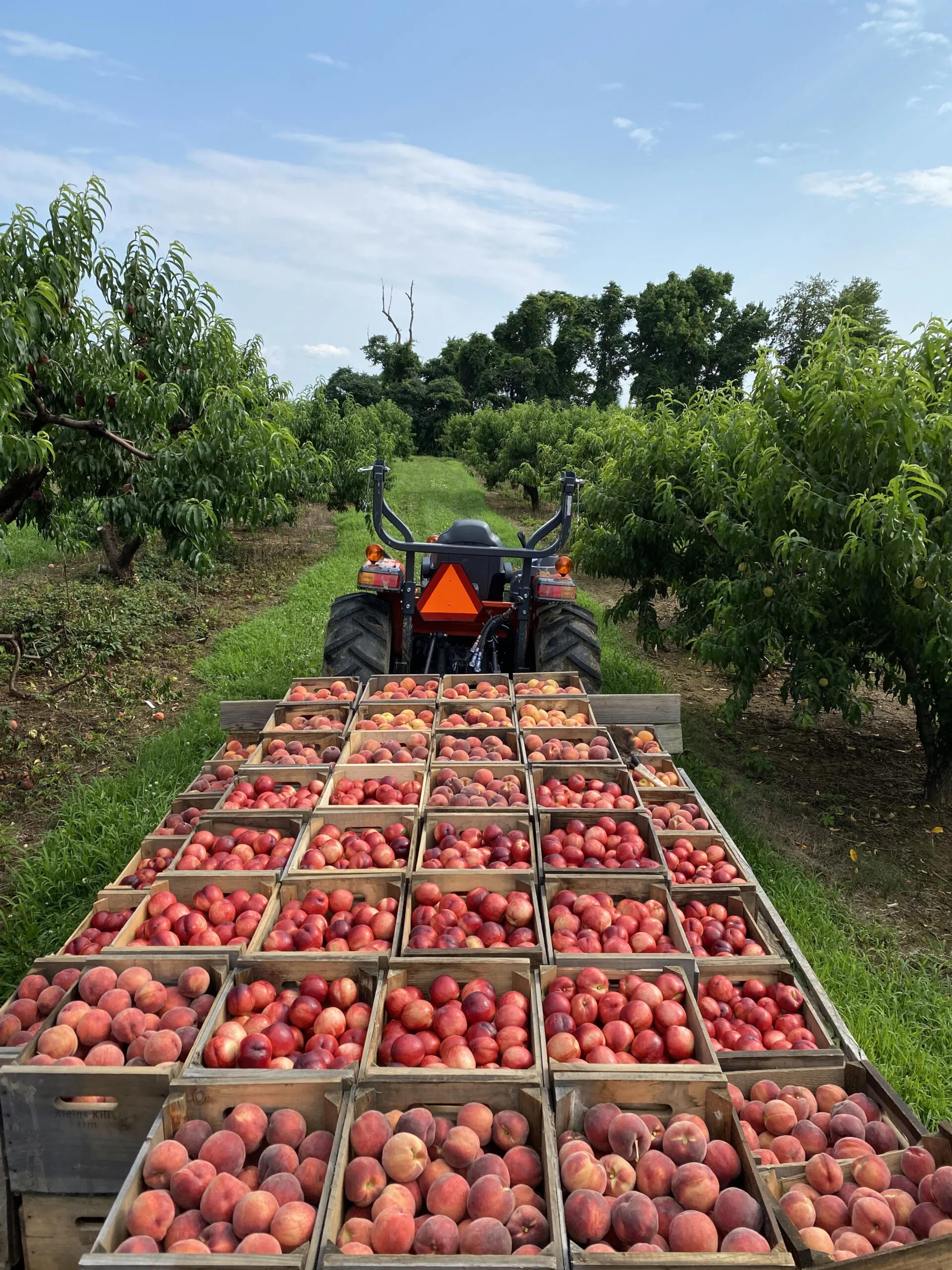 Image from Farm to People