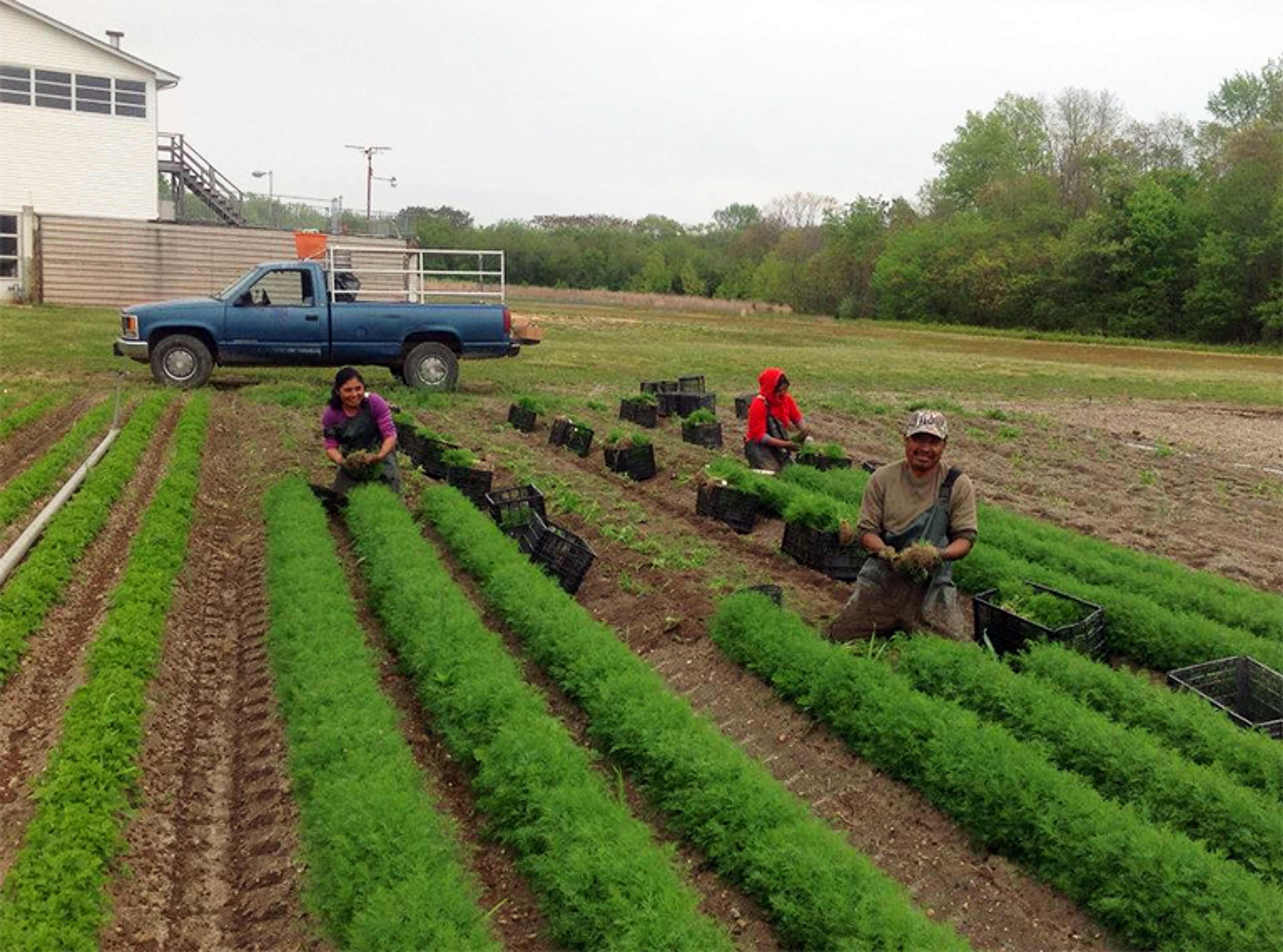 Image from Farm to People