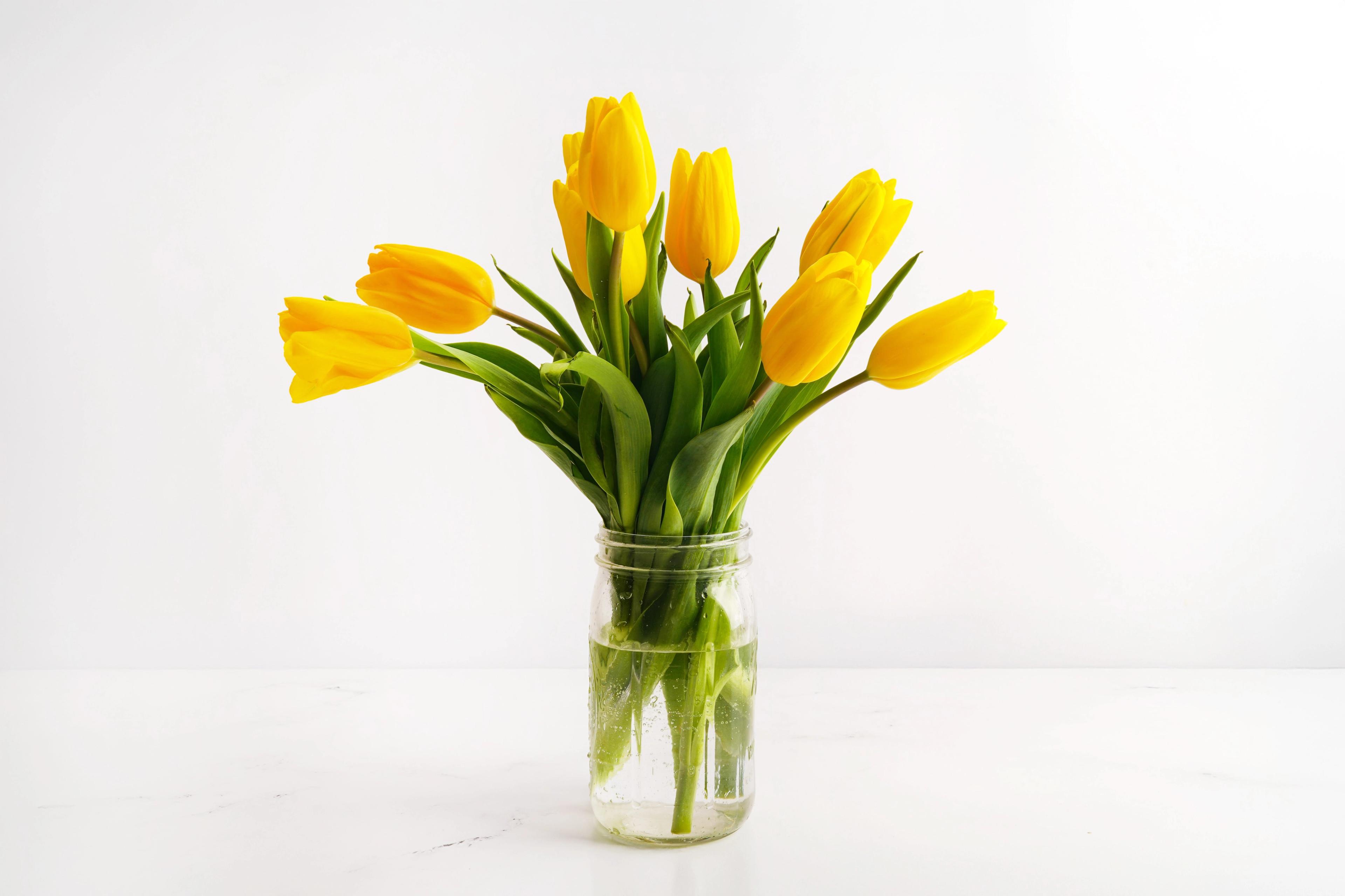 Image from Farm to People