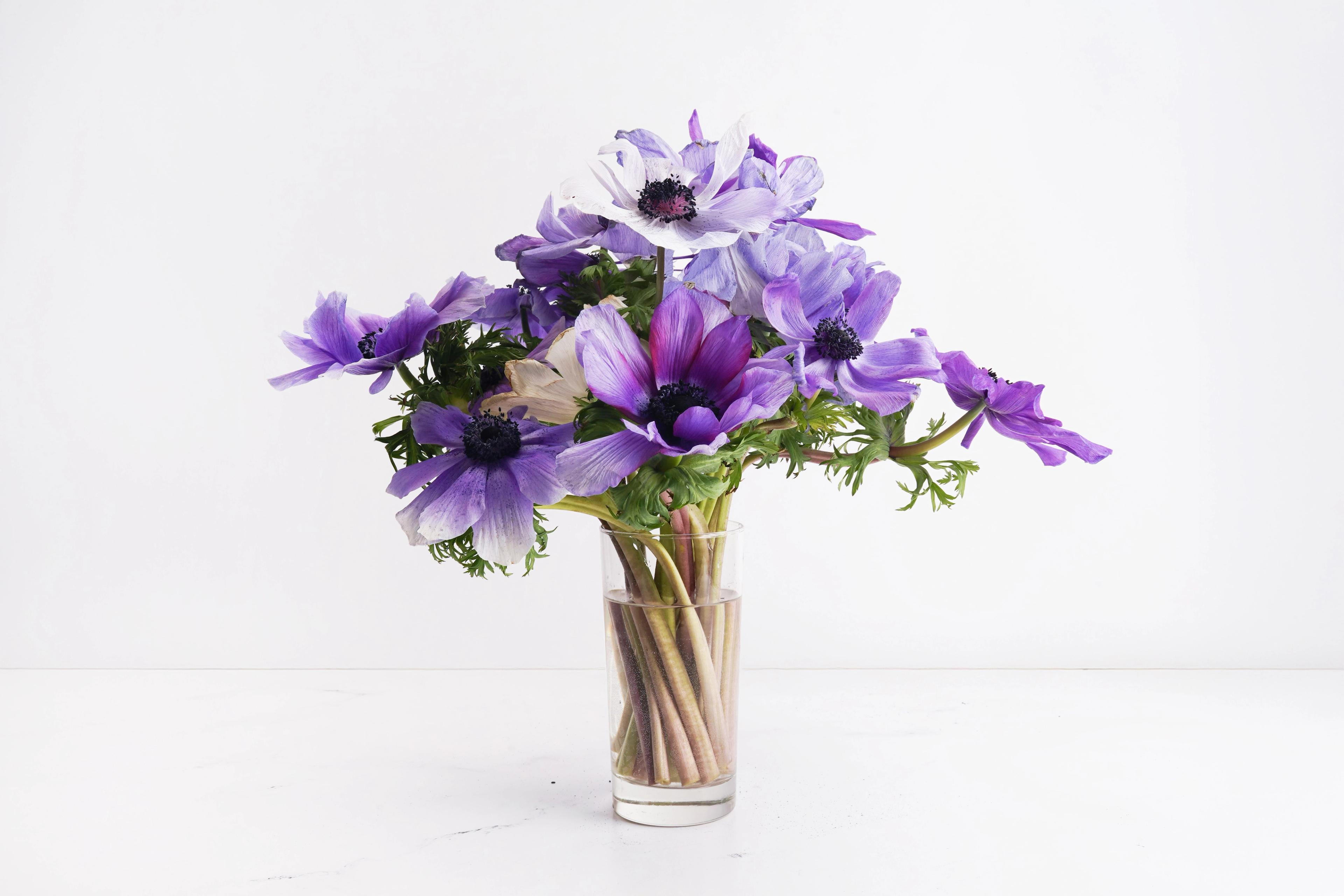 Image from Farm to People