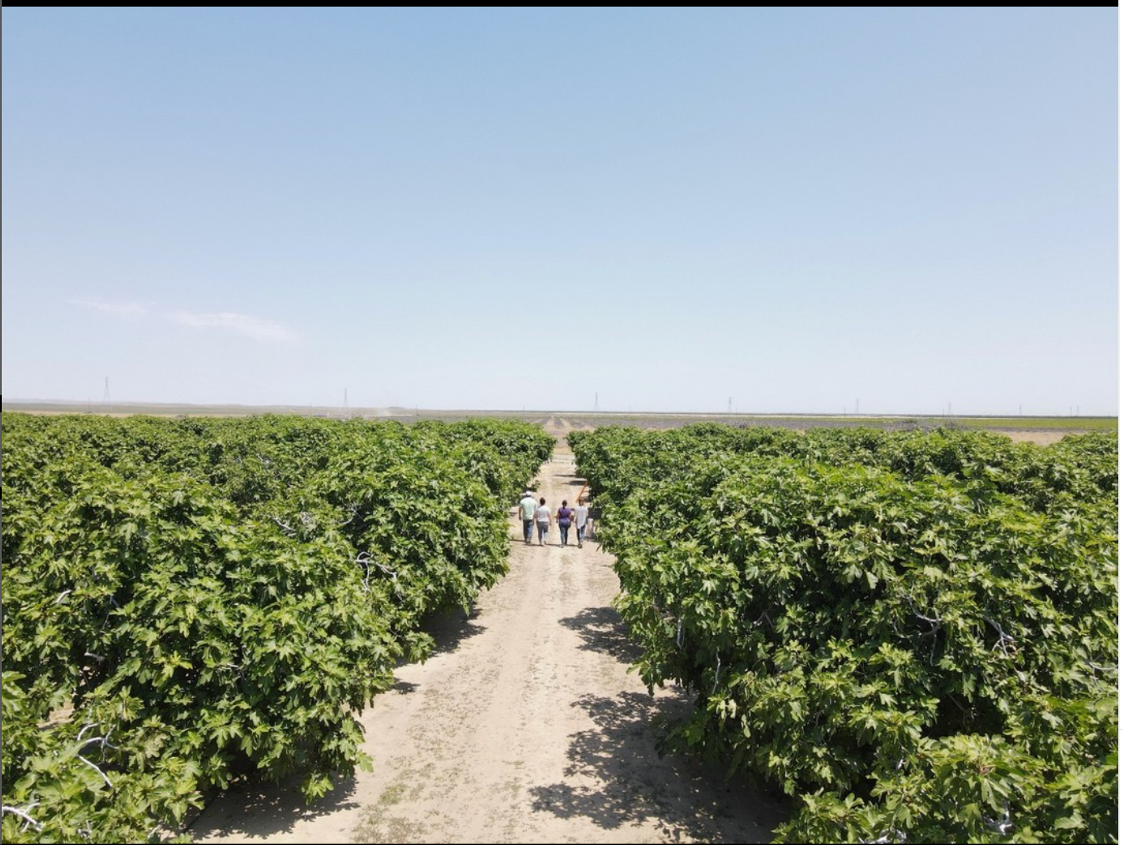 Image from Farm to People