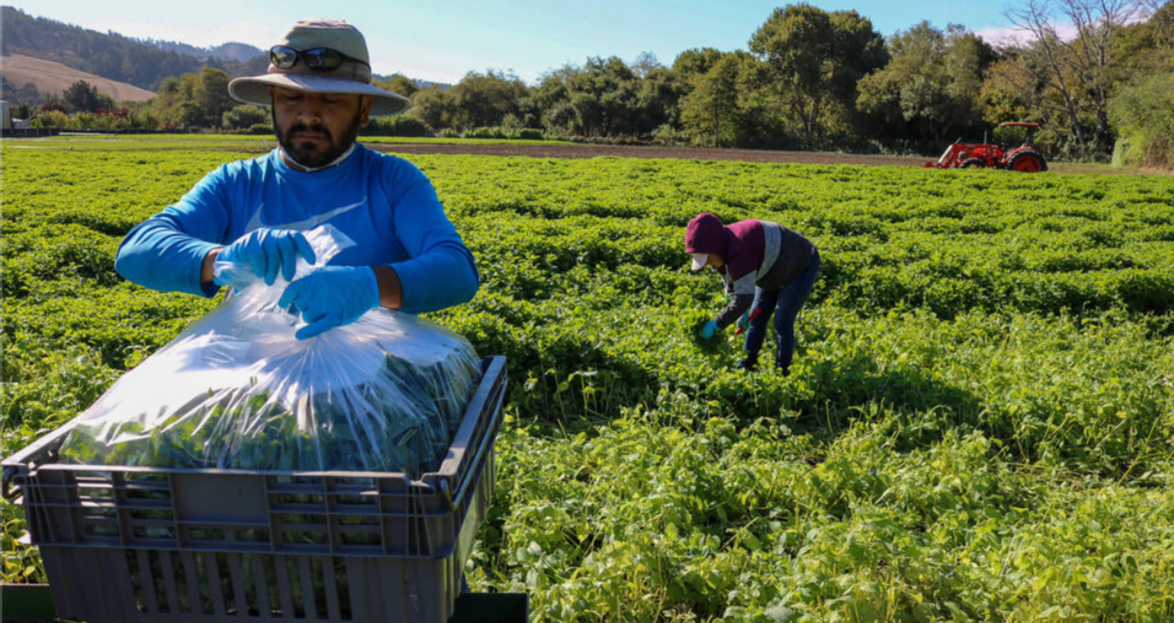 Image from Farm to People