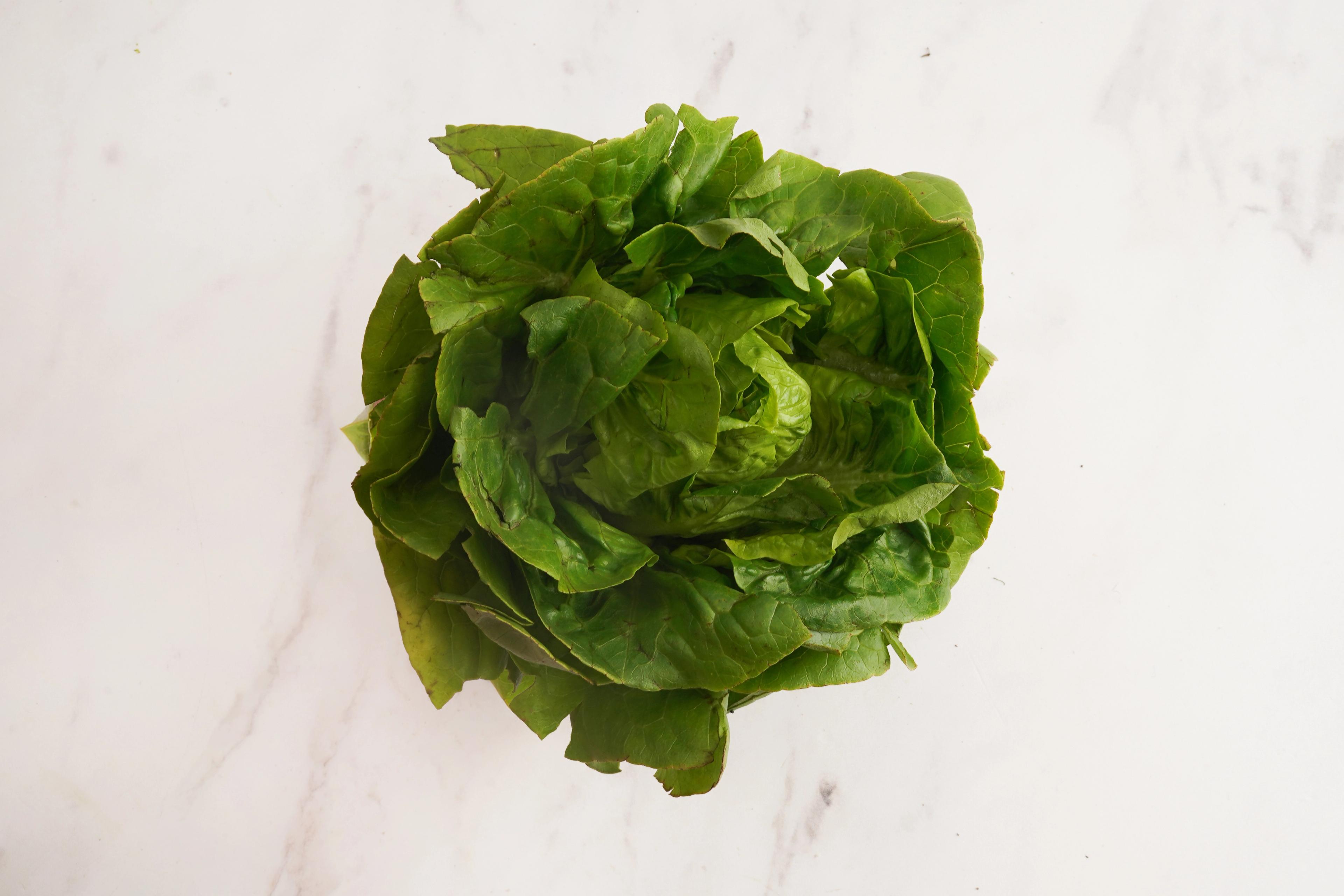 Image from Farm to People