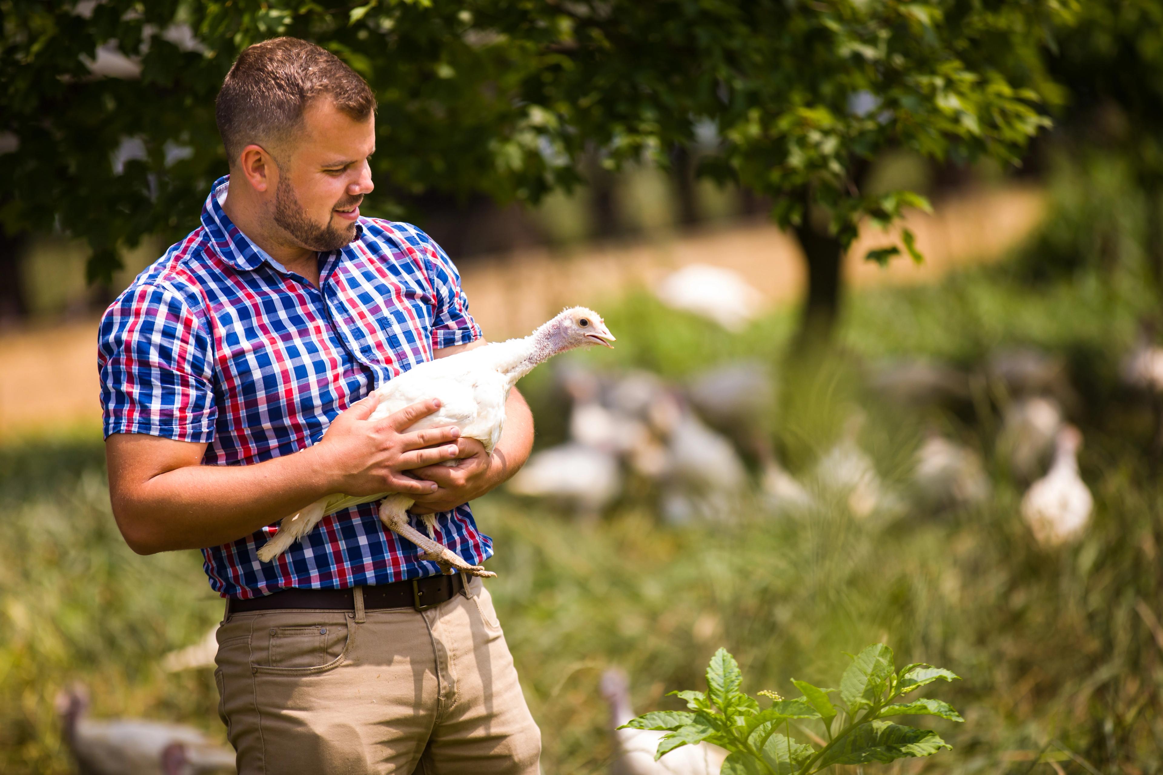 Image from Farm to People