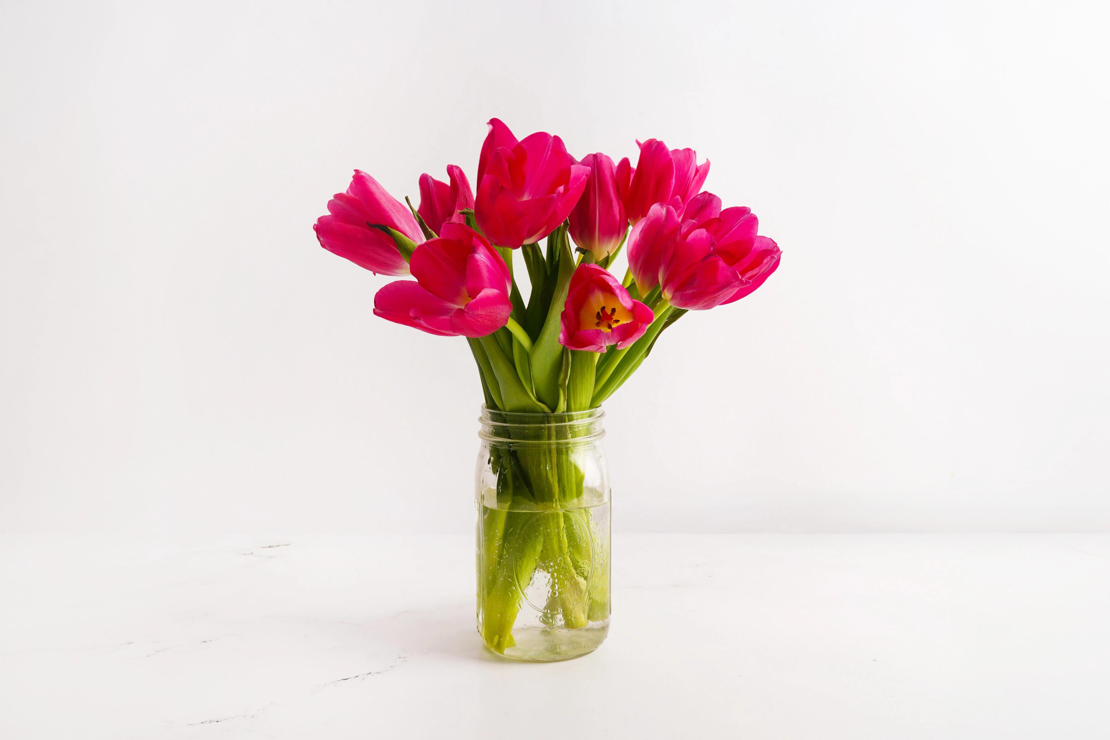 Image from Farm to People