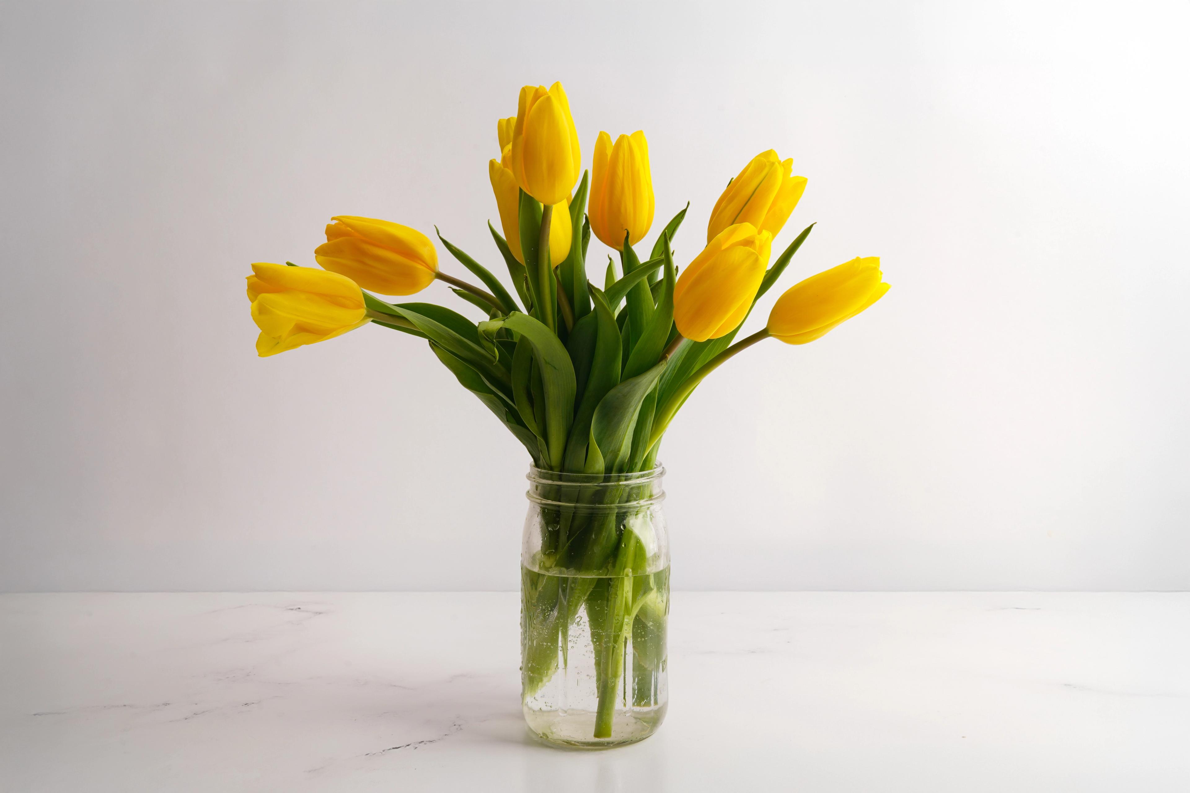 Image from Farm to People