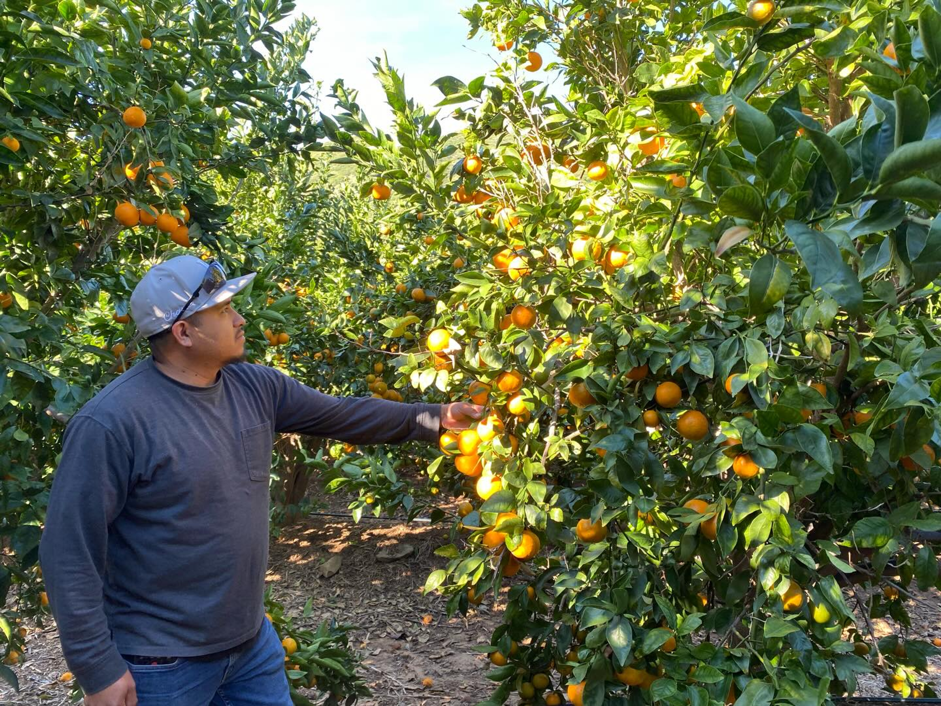 Image from Farm to People