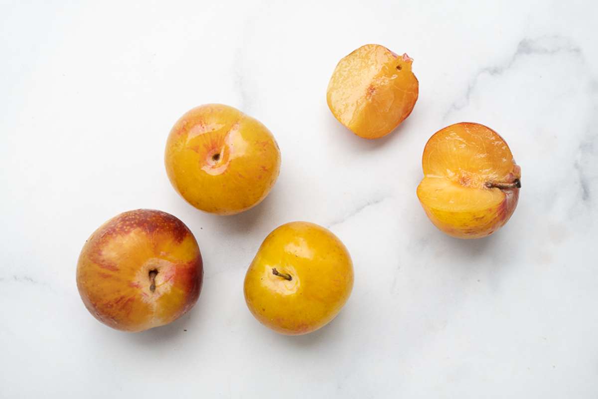 Buy Early Golden Plums For Delivery Near You Farm To People