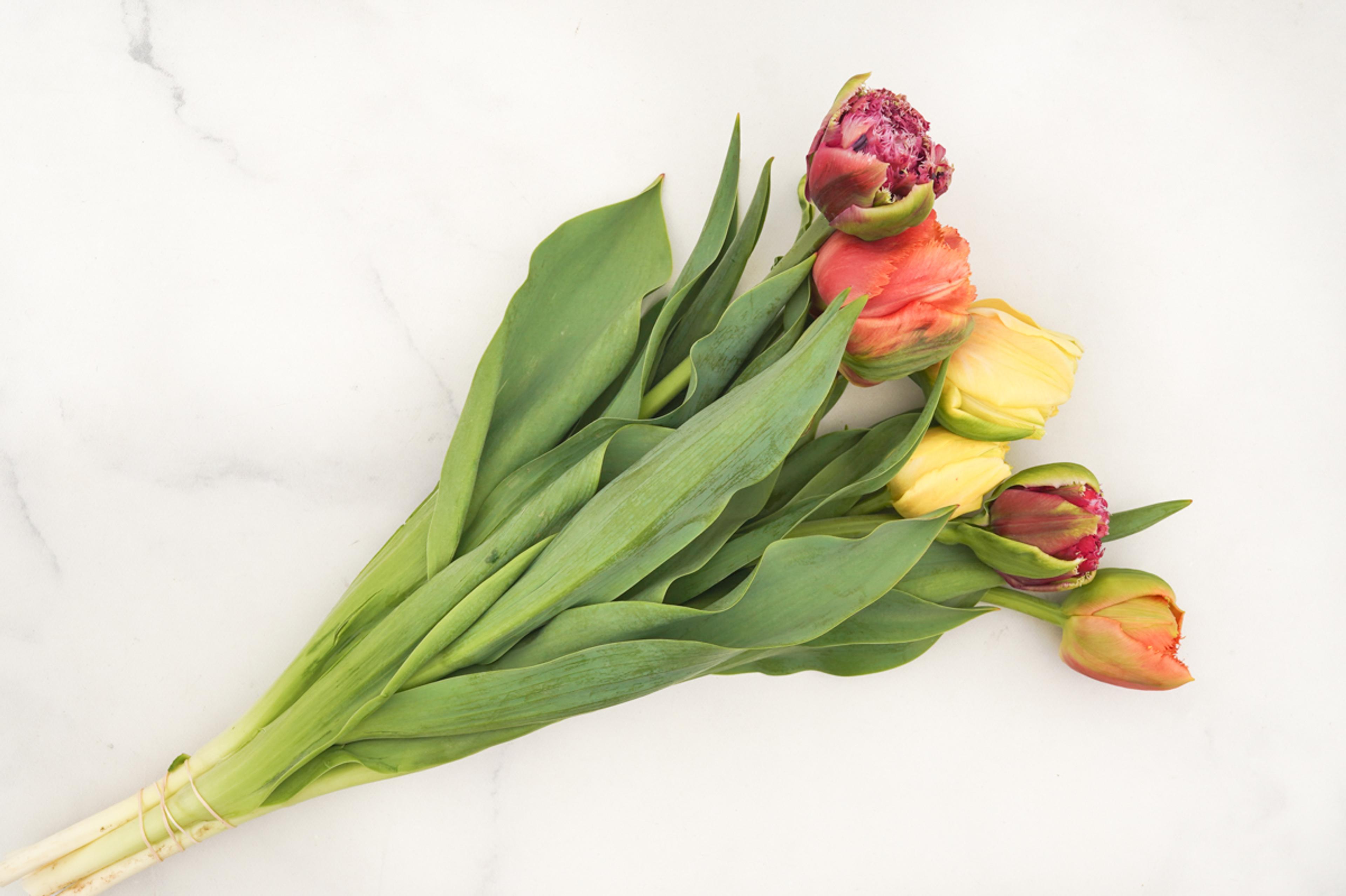 Image from Farm to People