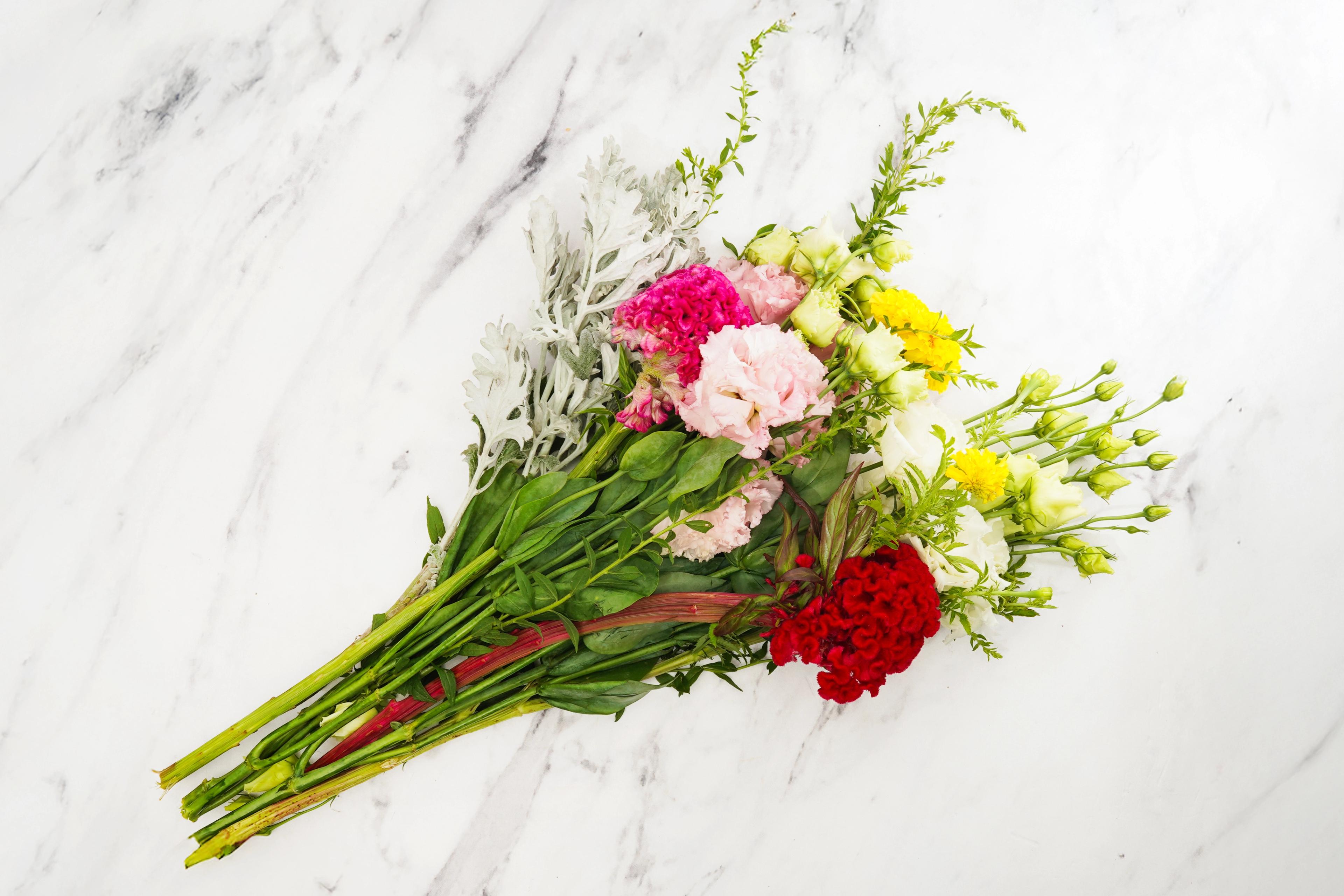 Image from Farm to People