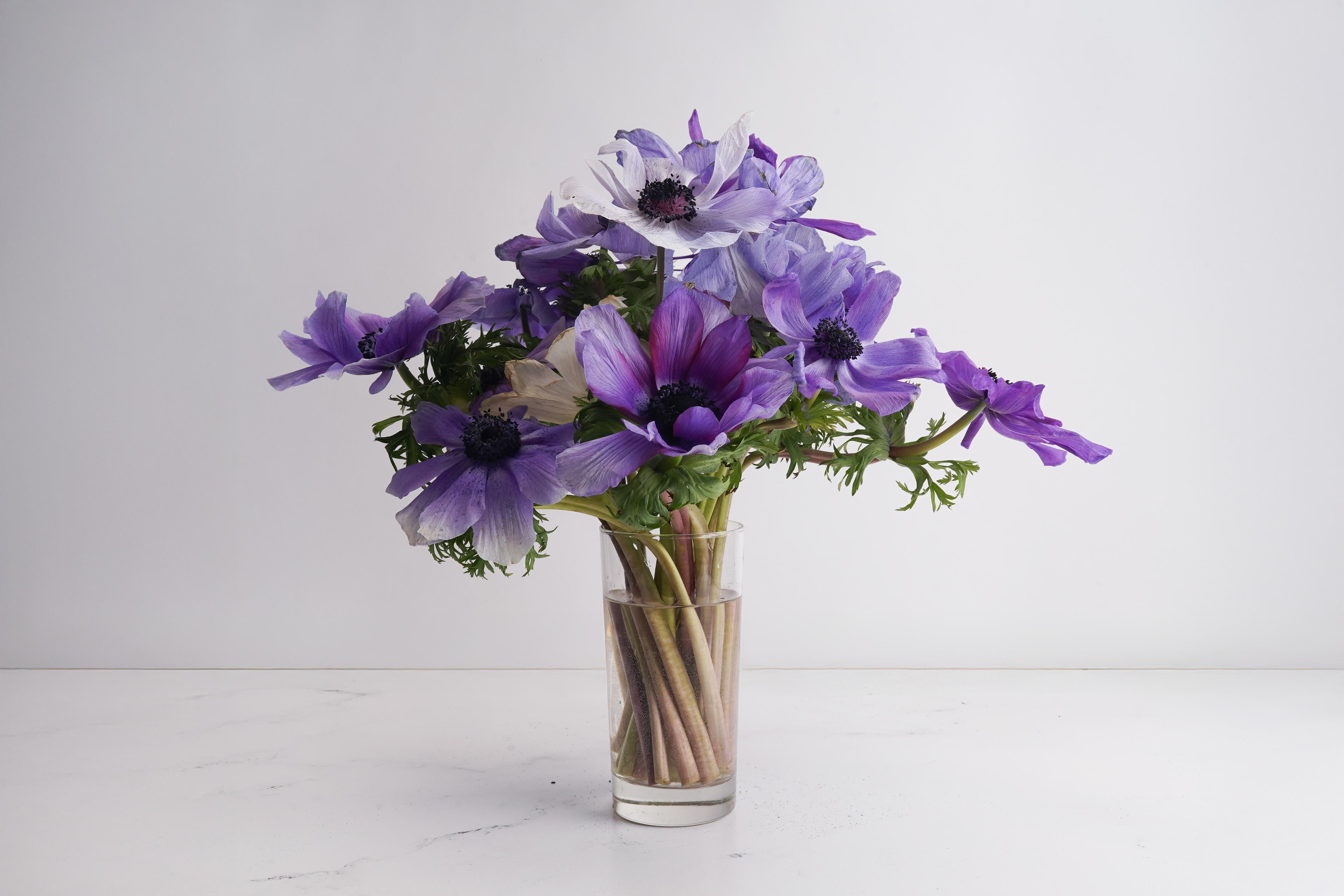 Image from Farm to People