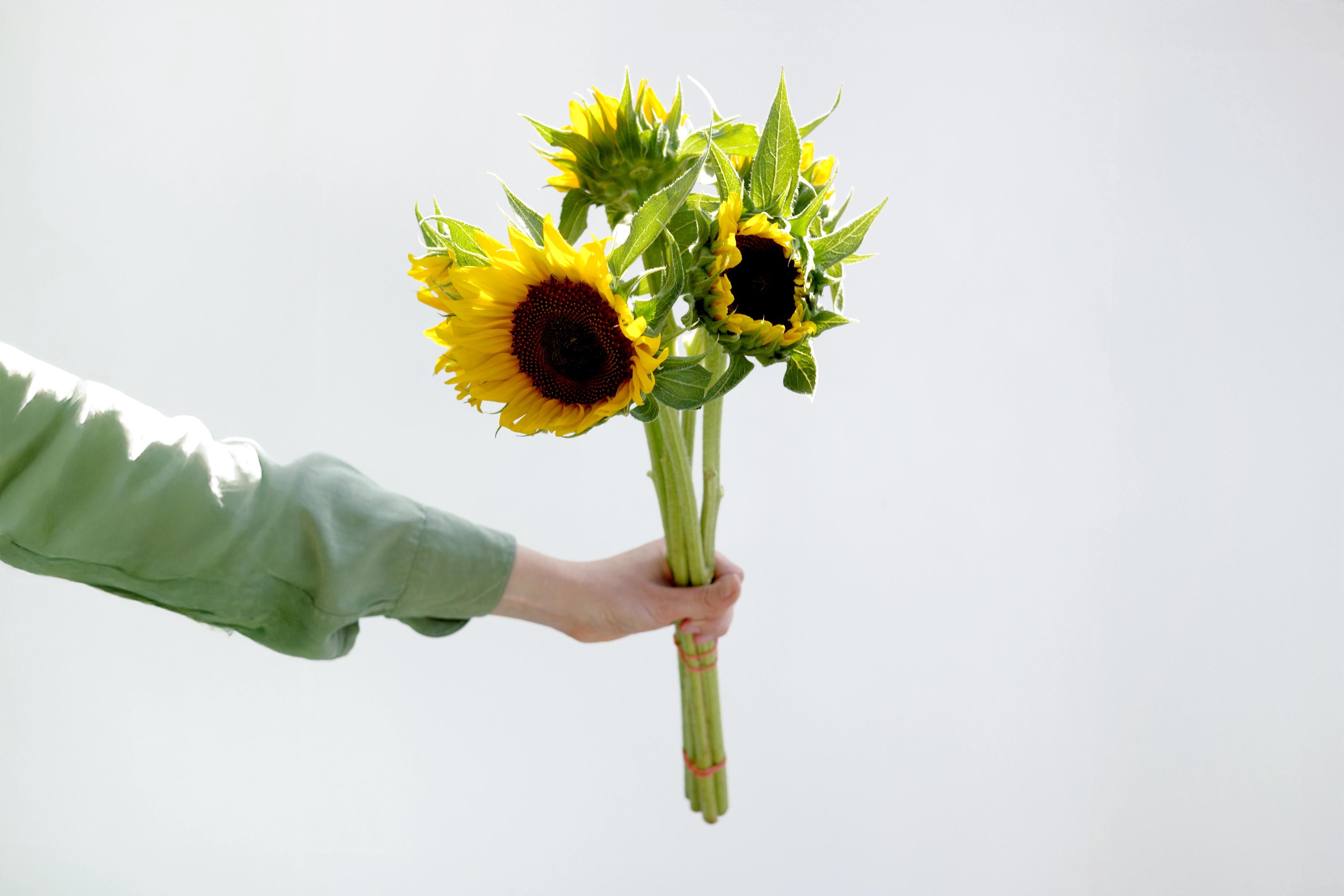 Image from Farm to People