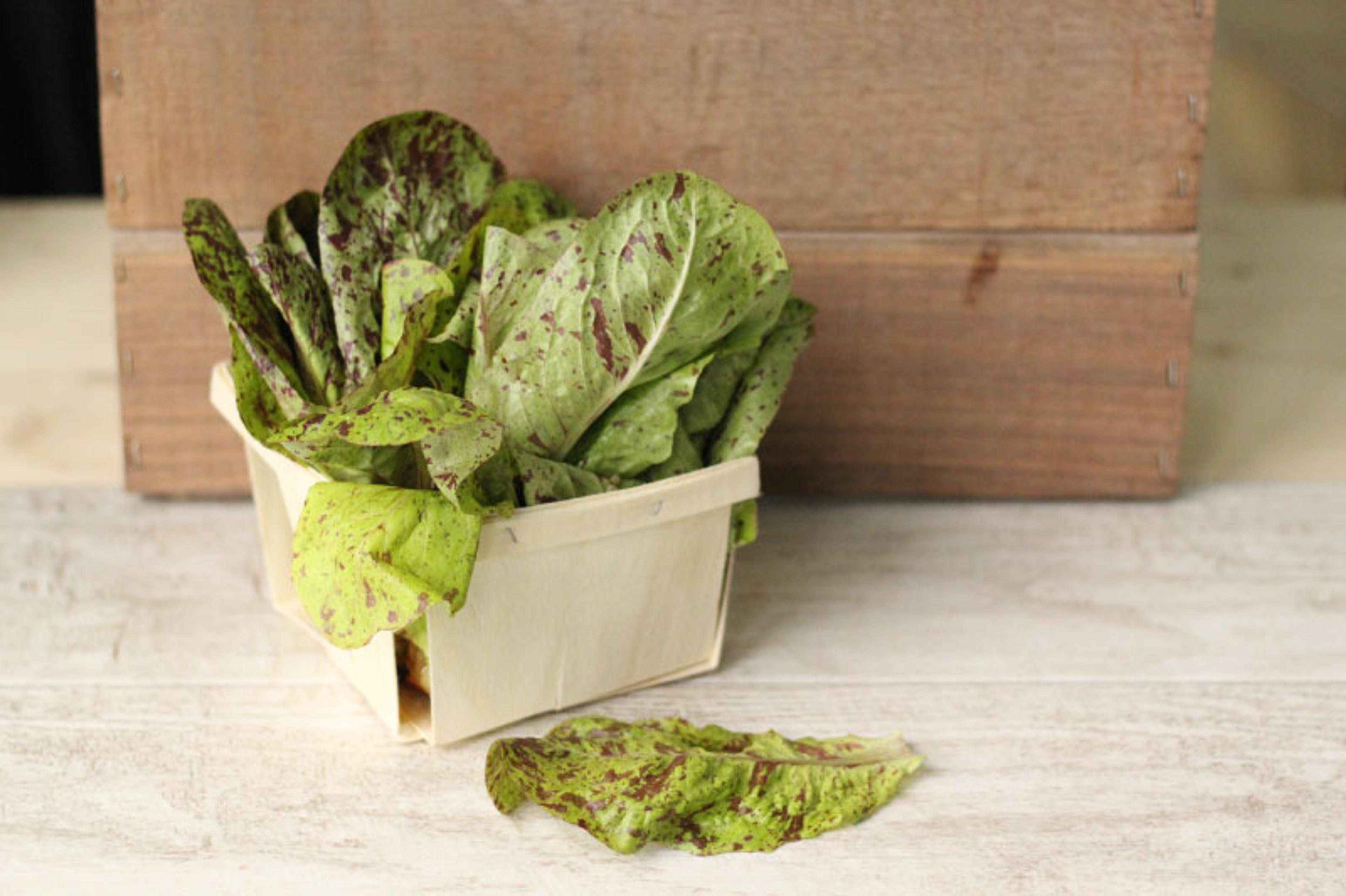 Image from Farm to People