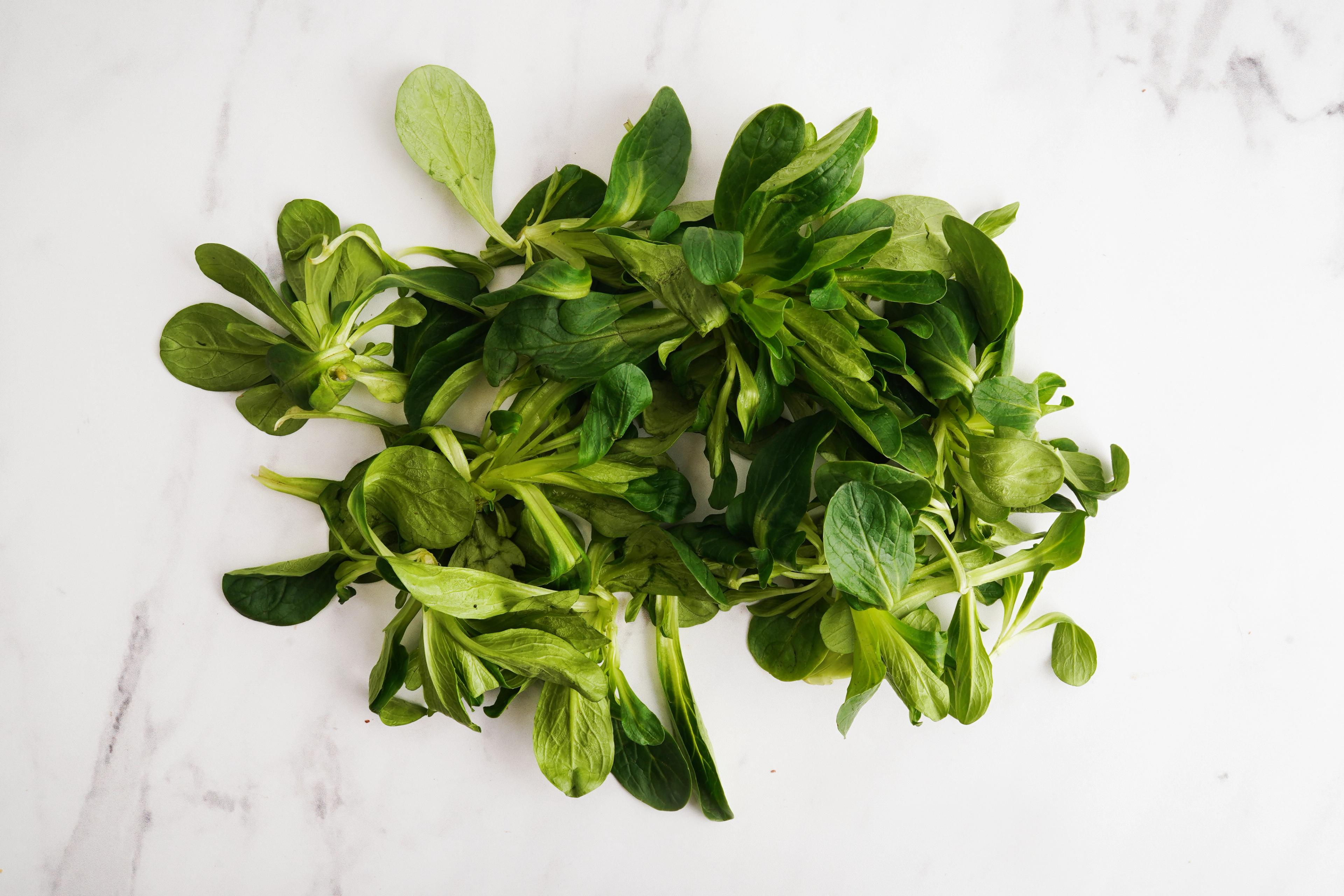 Image from Farm to People