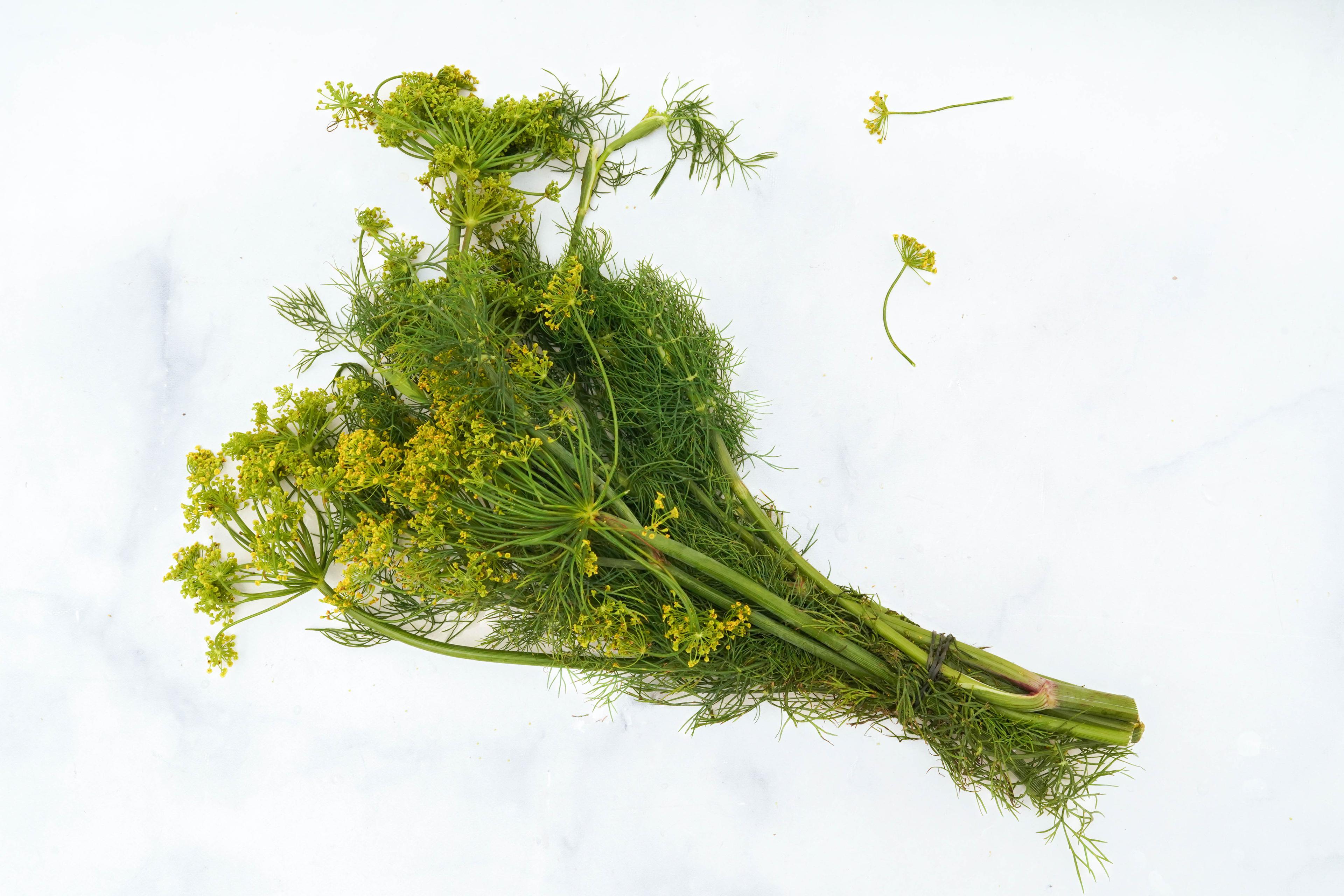 Image from Farm to People