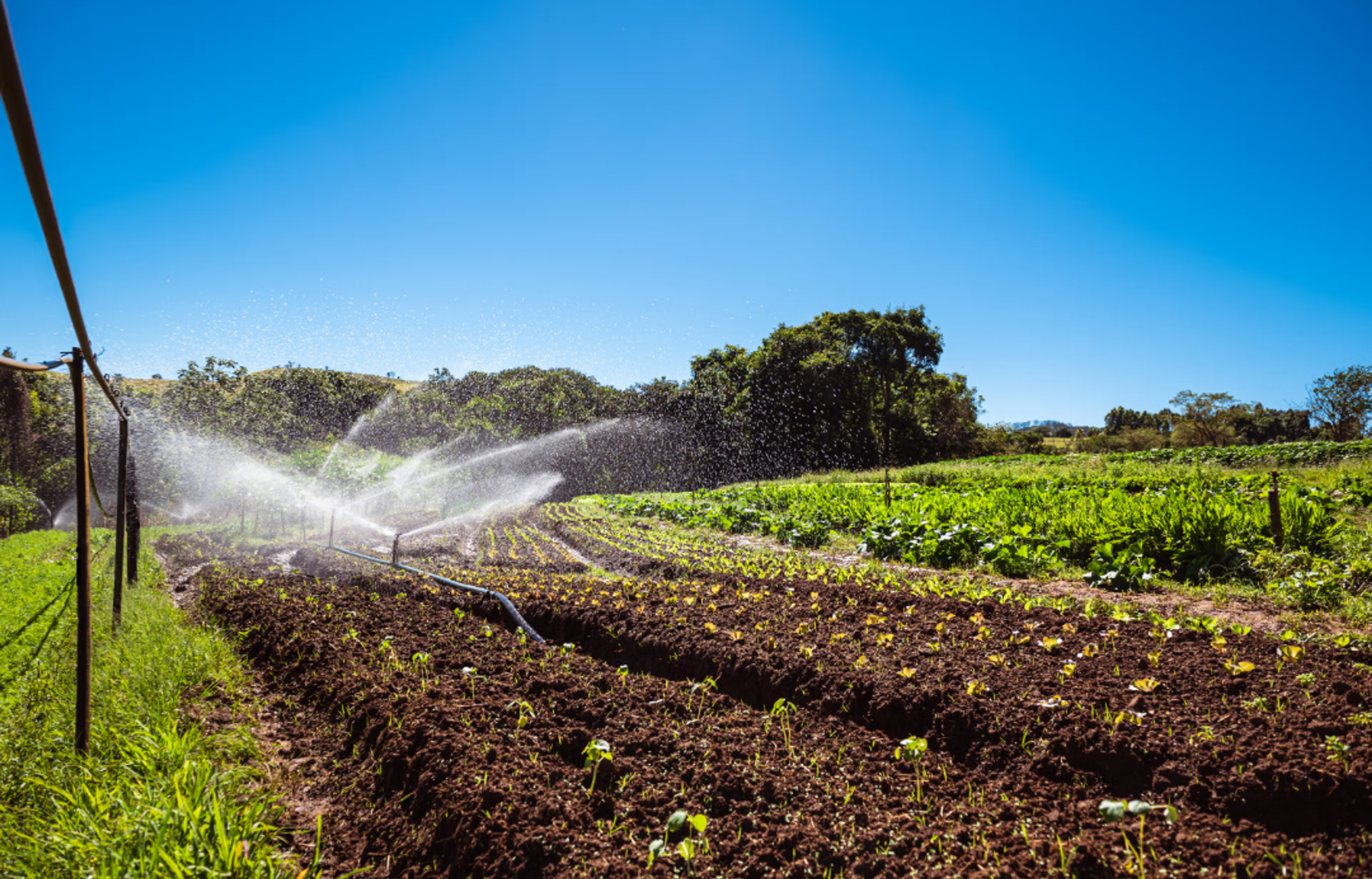 Image from Farm to People