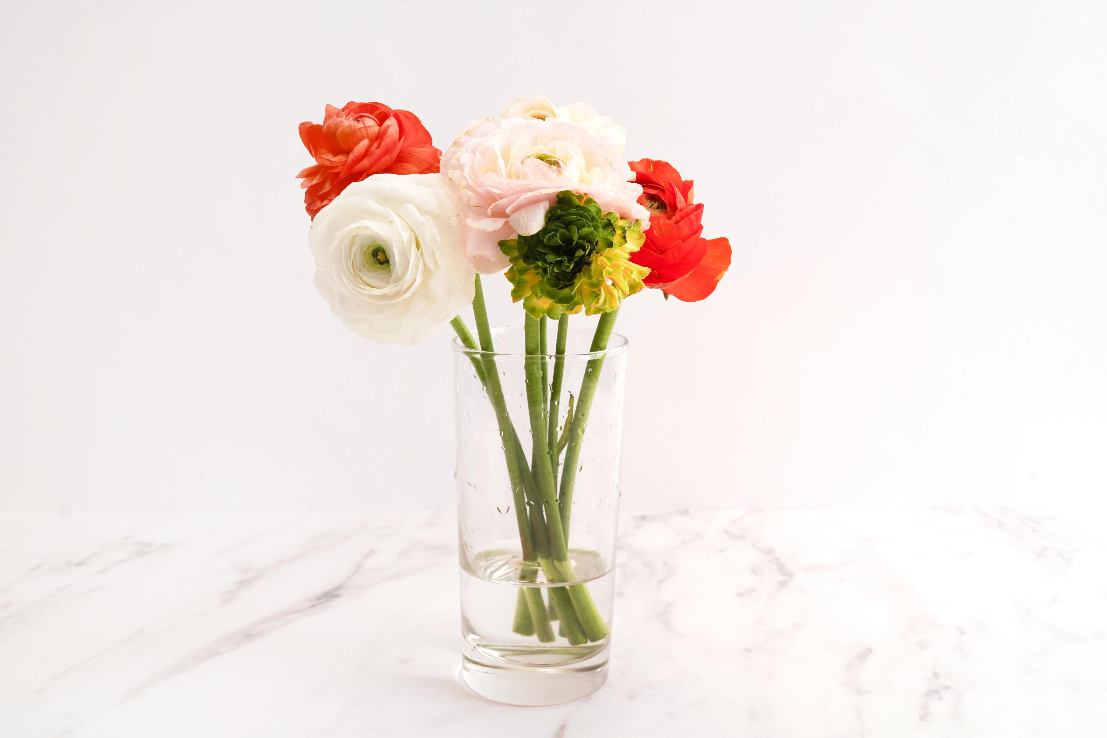 Image from Farm to People