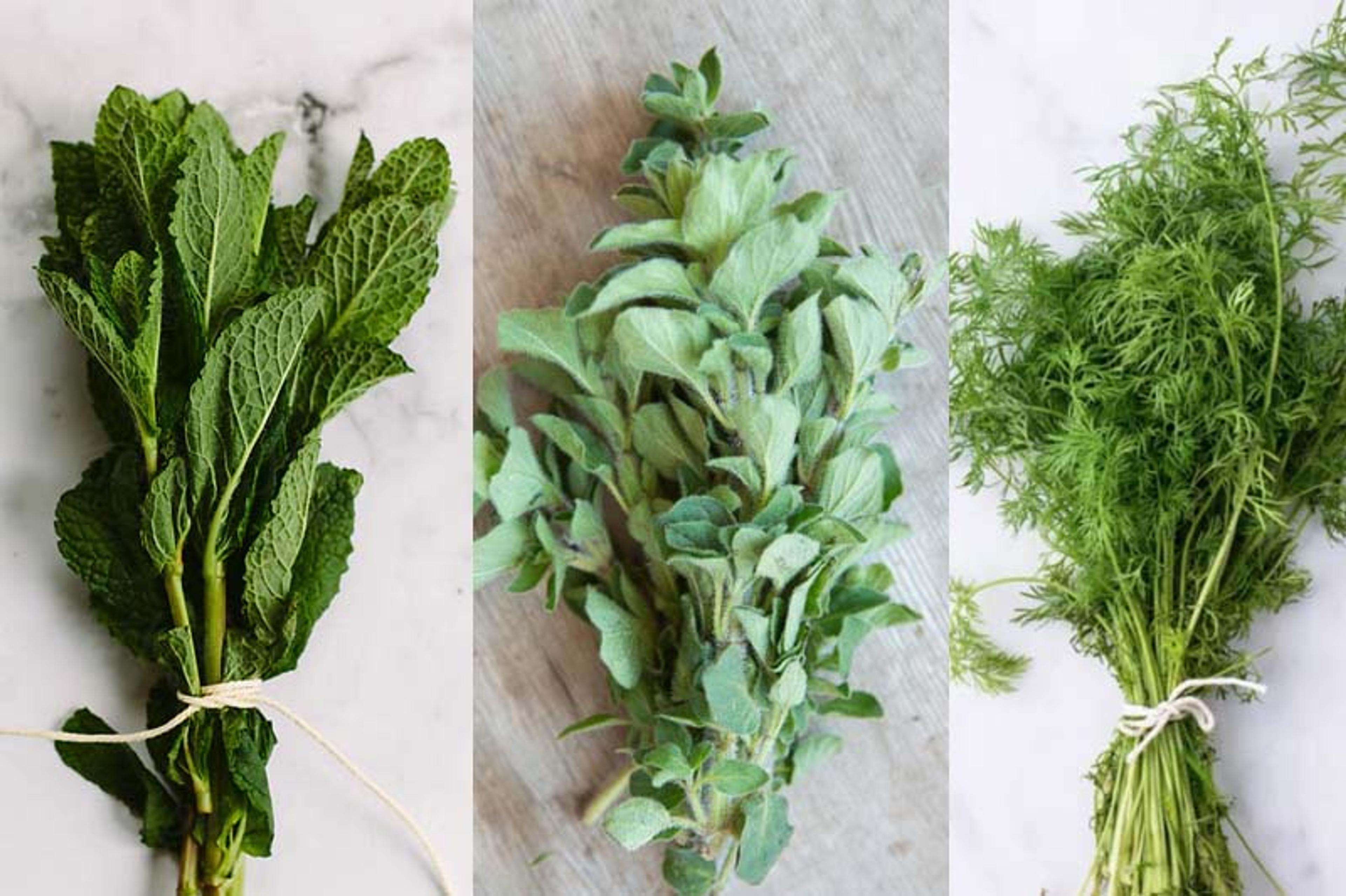 Image from Farm to People