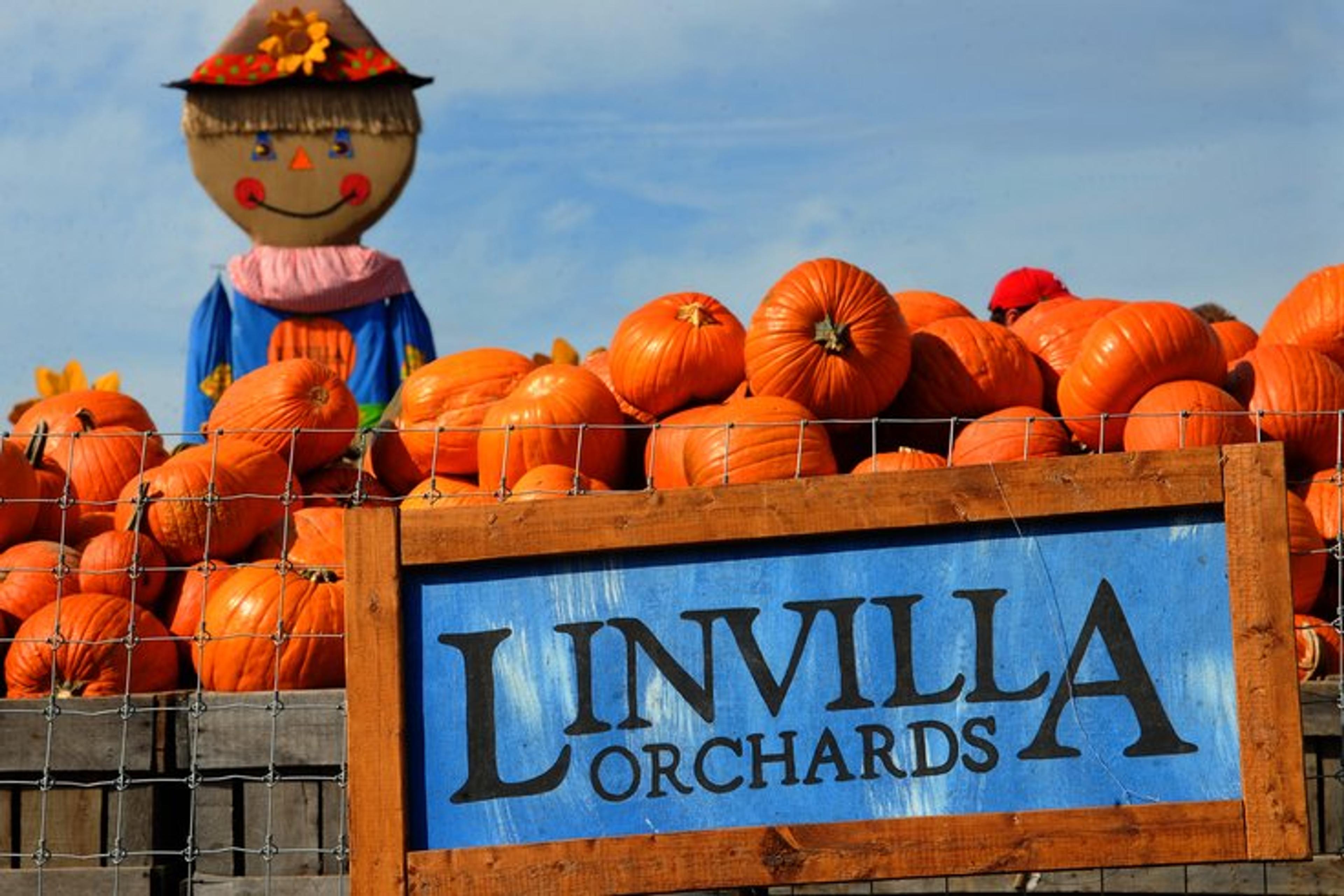 Image from Farm to People