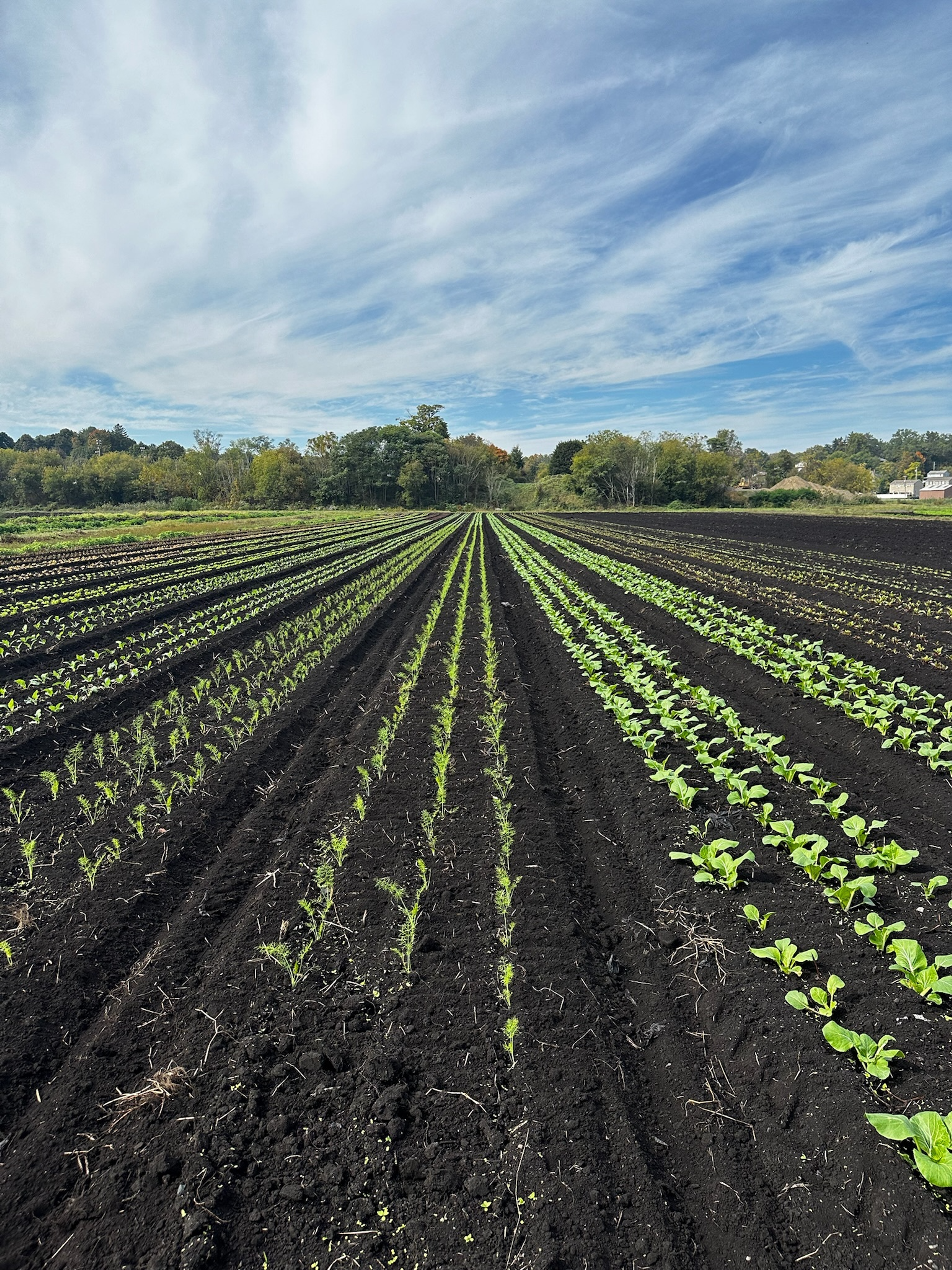 Image from Farm to People