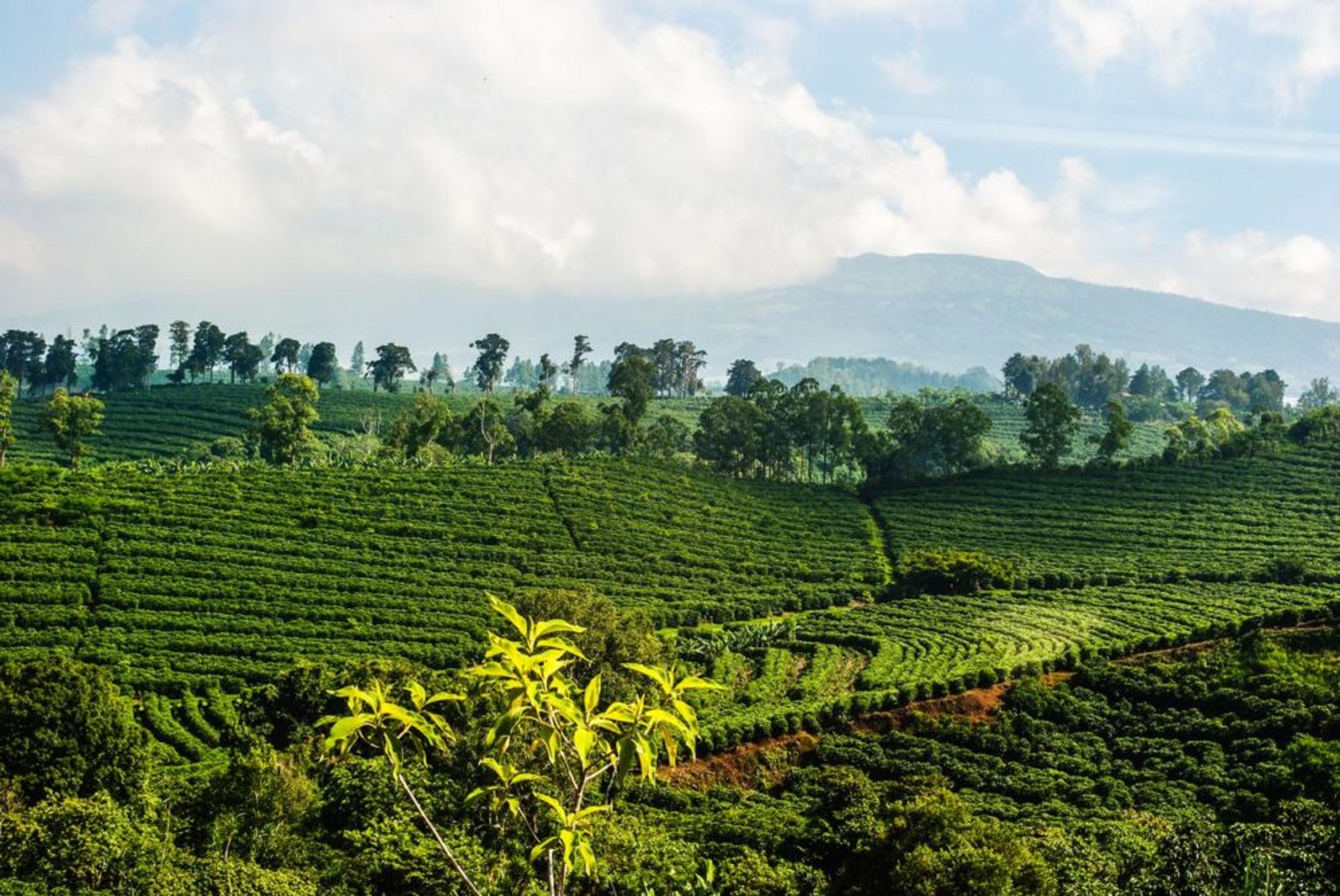 Image from Farm to People