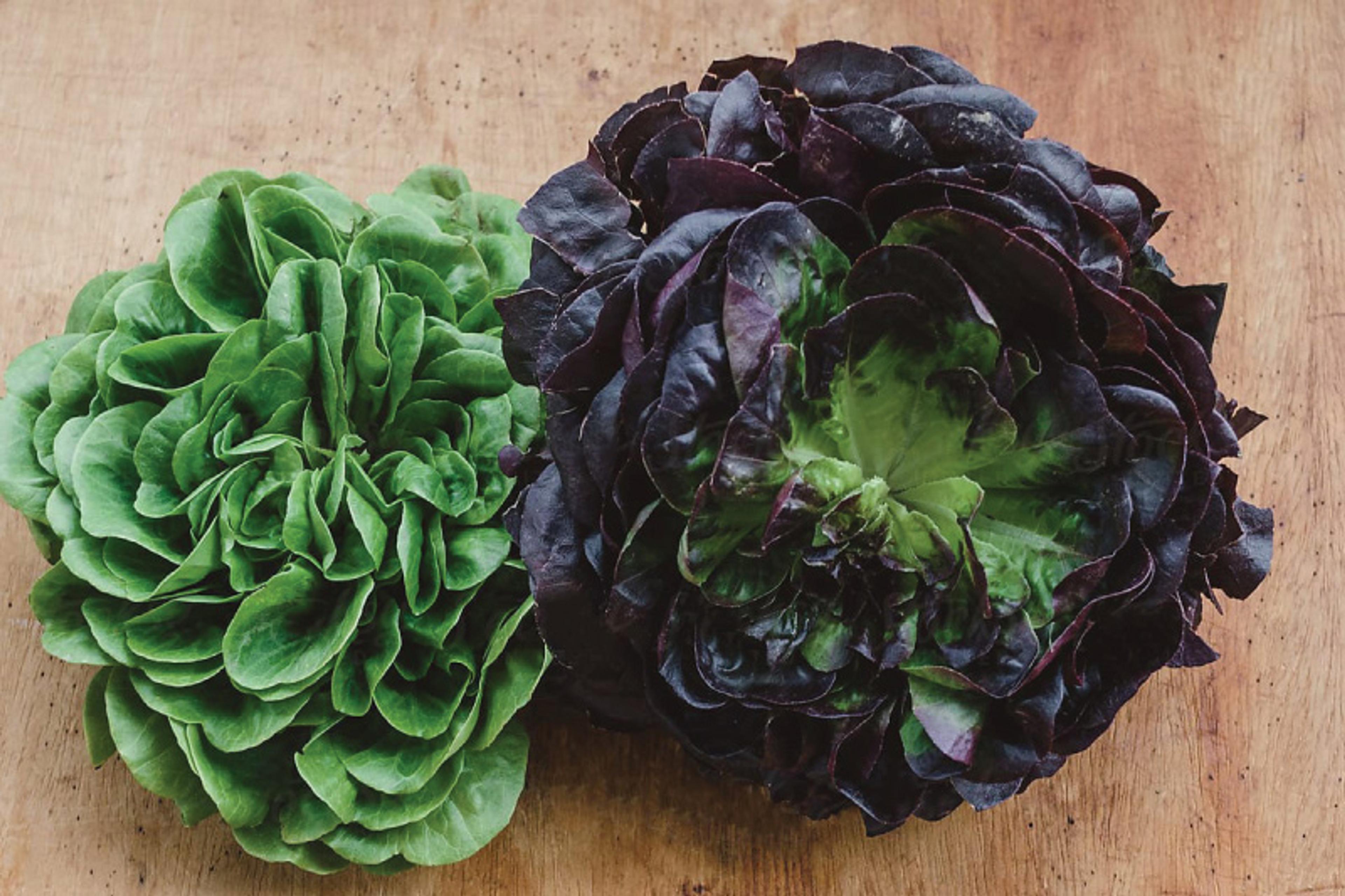 Image from Farm to People