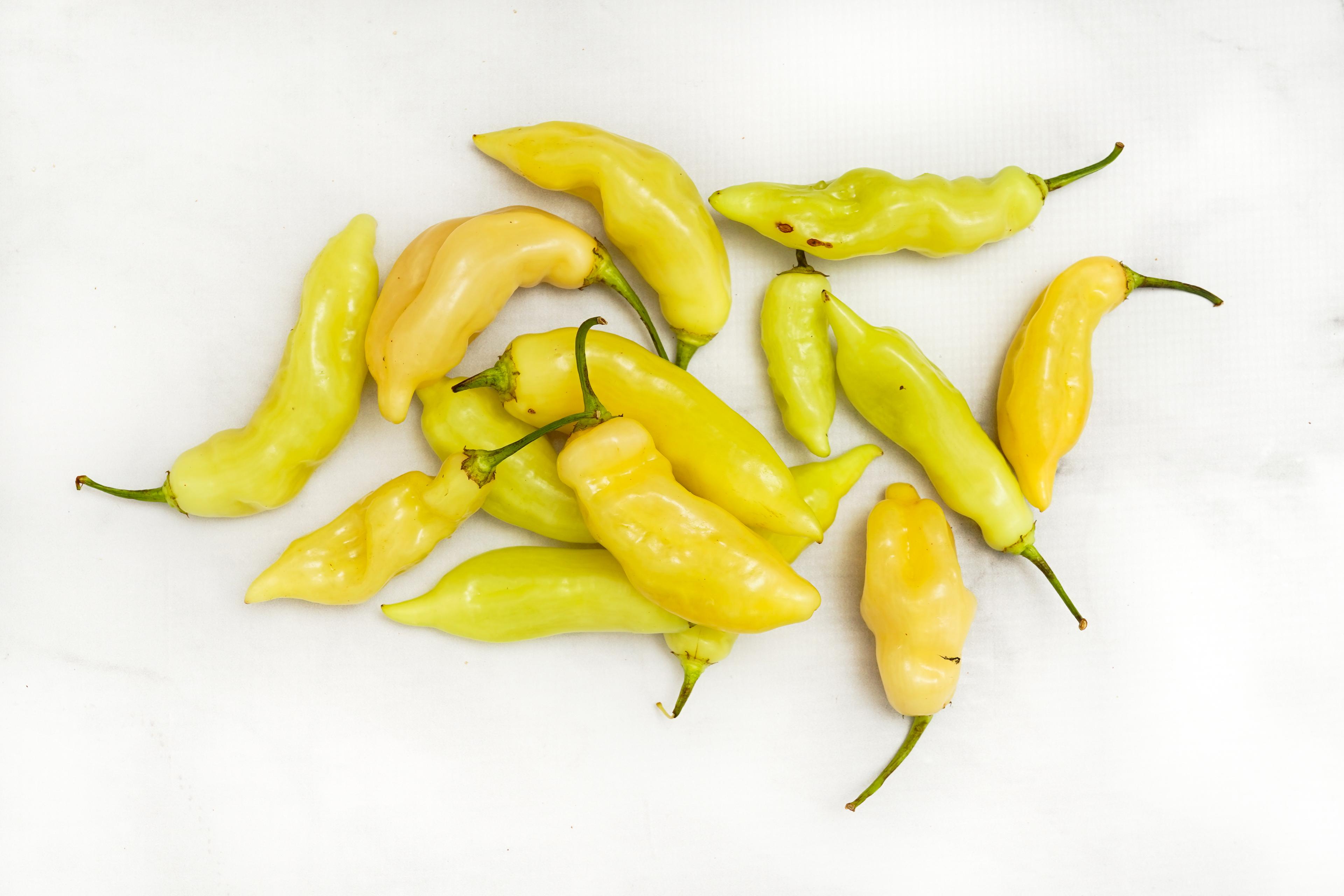 Image from Farm to People