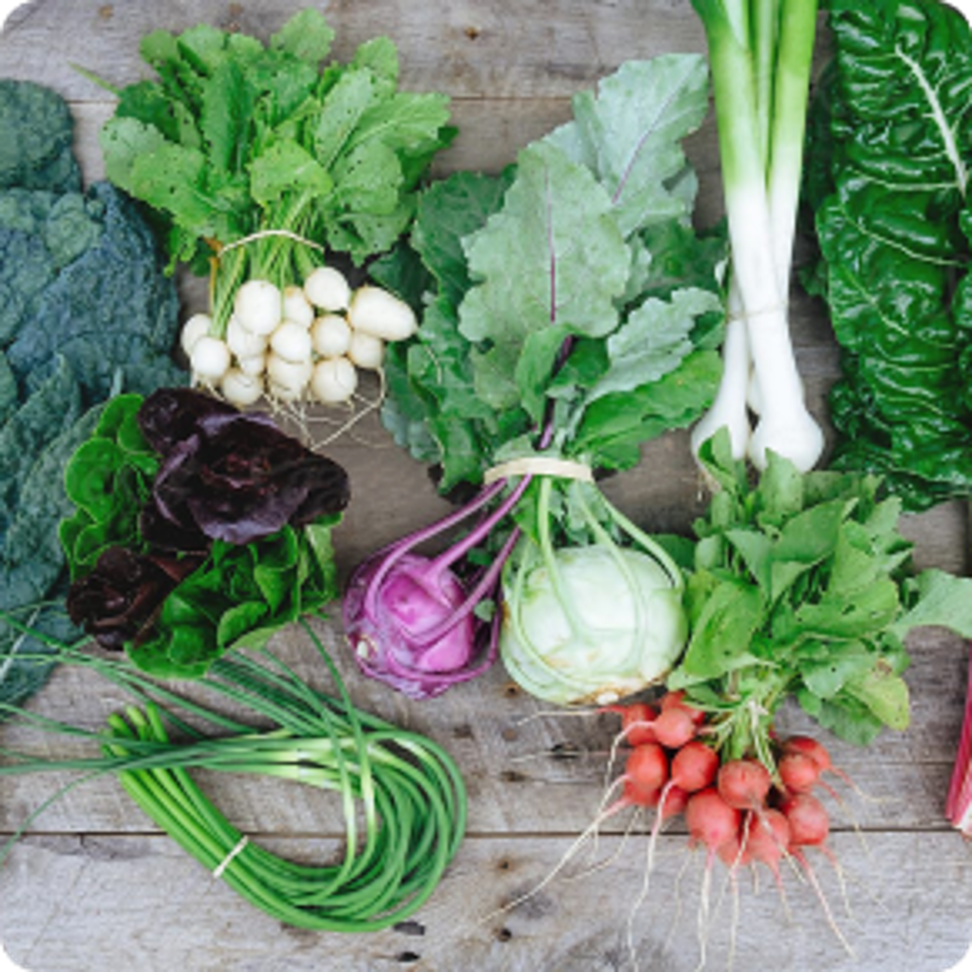 A selection of produce.