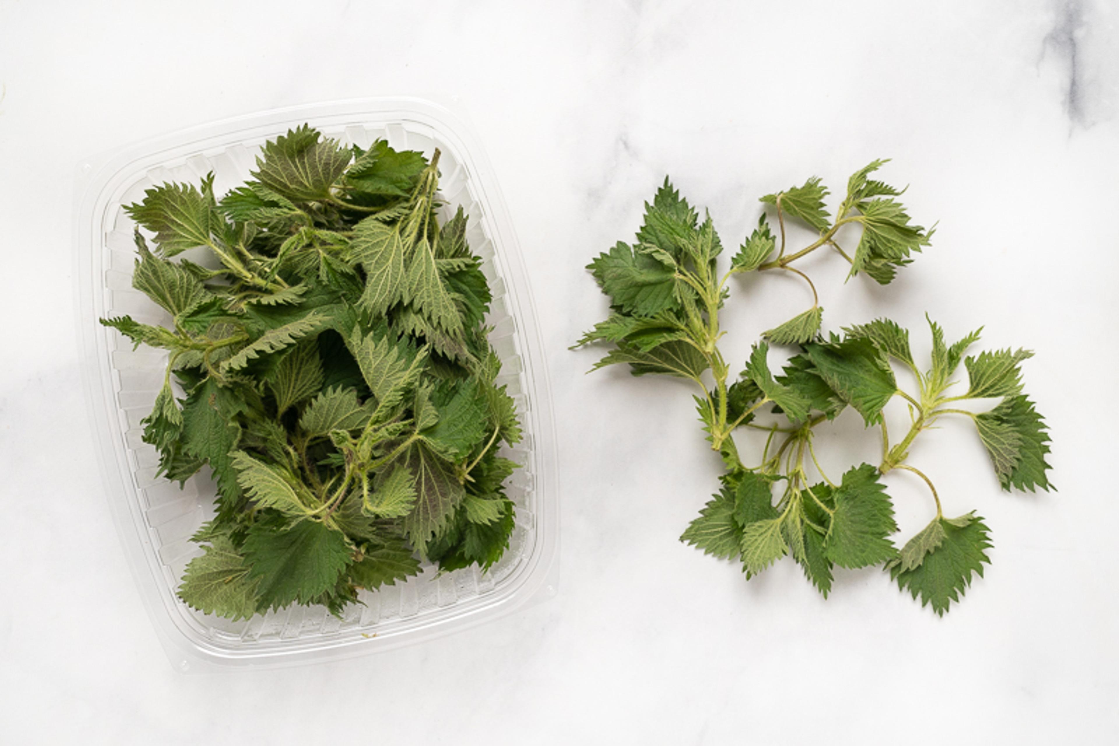 Image from Farm to People